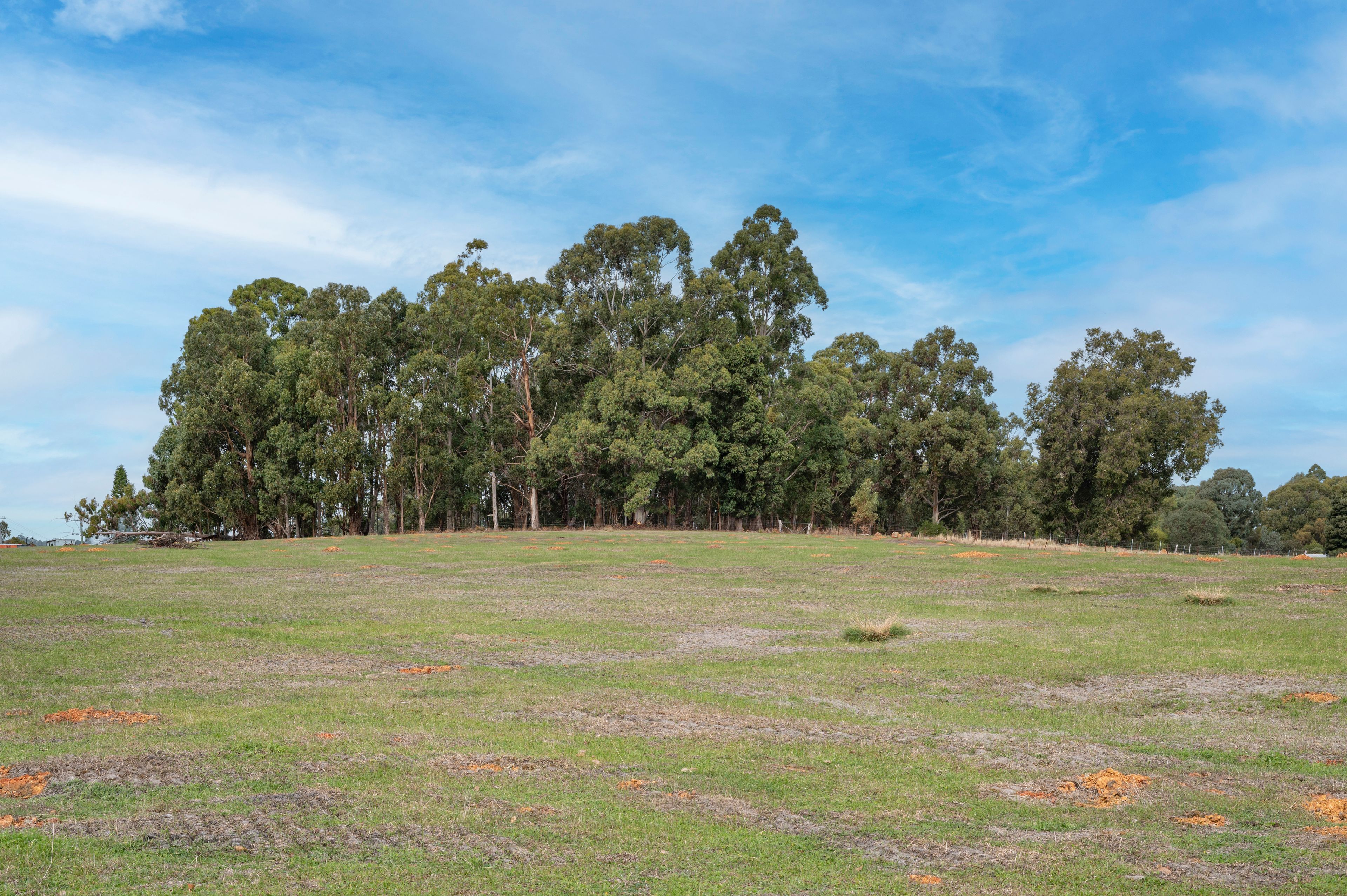 PL 80 South Western Highway — photo 4 of 14