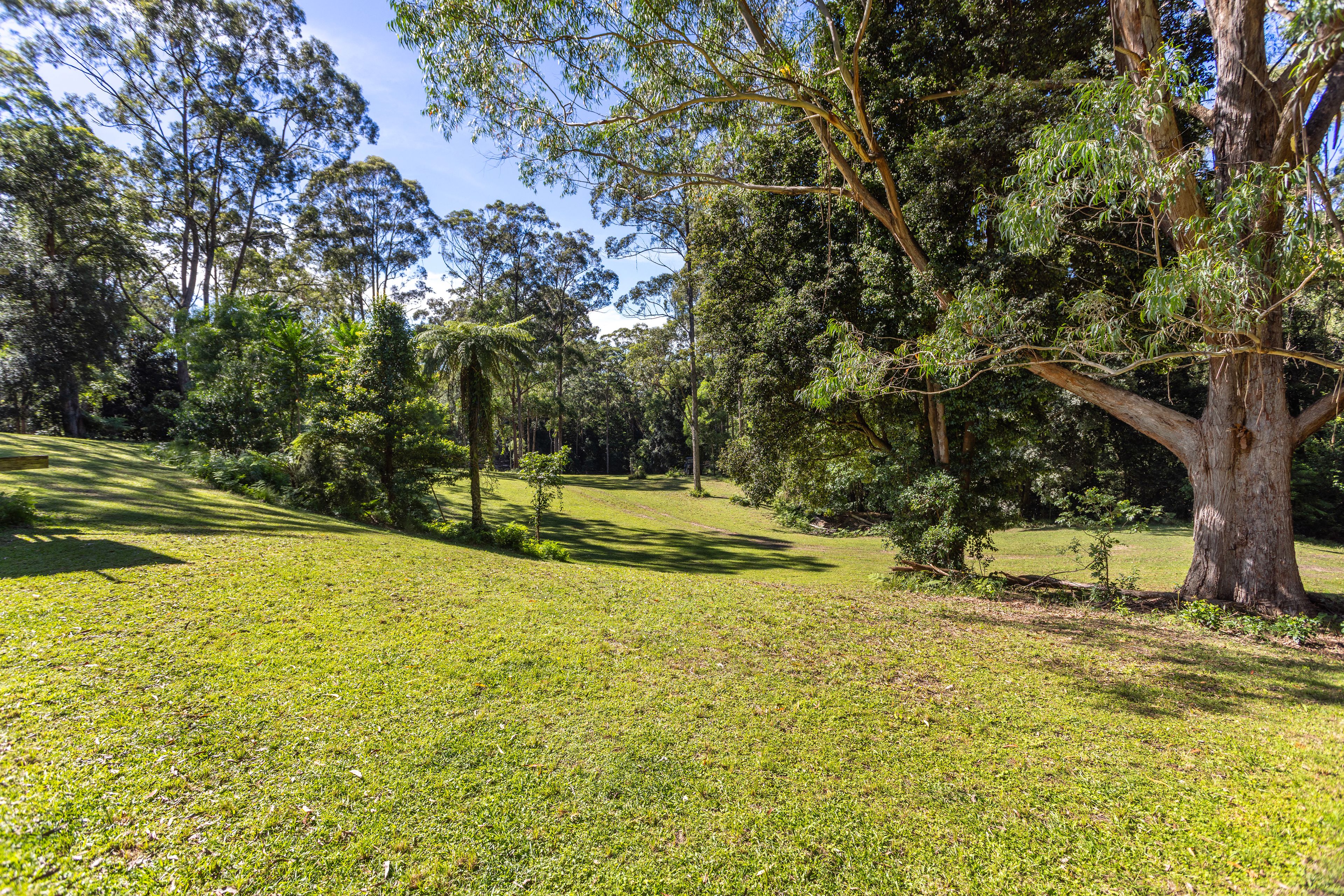 'The Ridge Farm' Lots 22 & 102 Free Selectors Road — photo 4 of 23