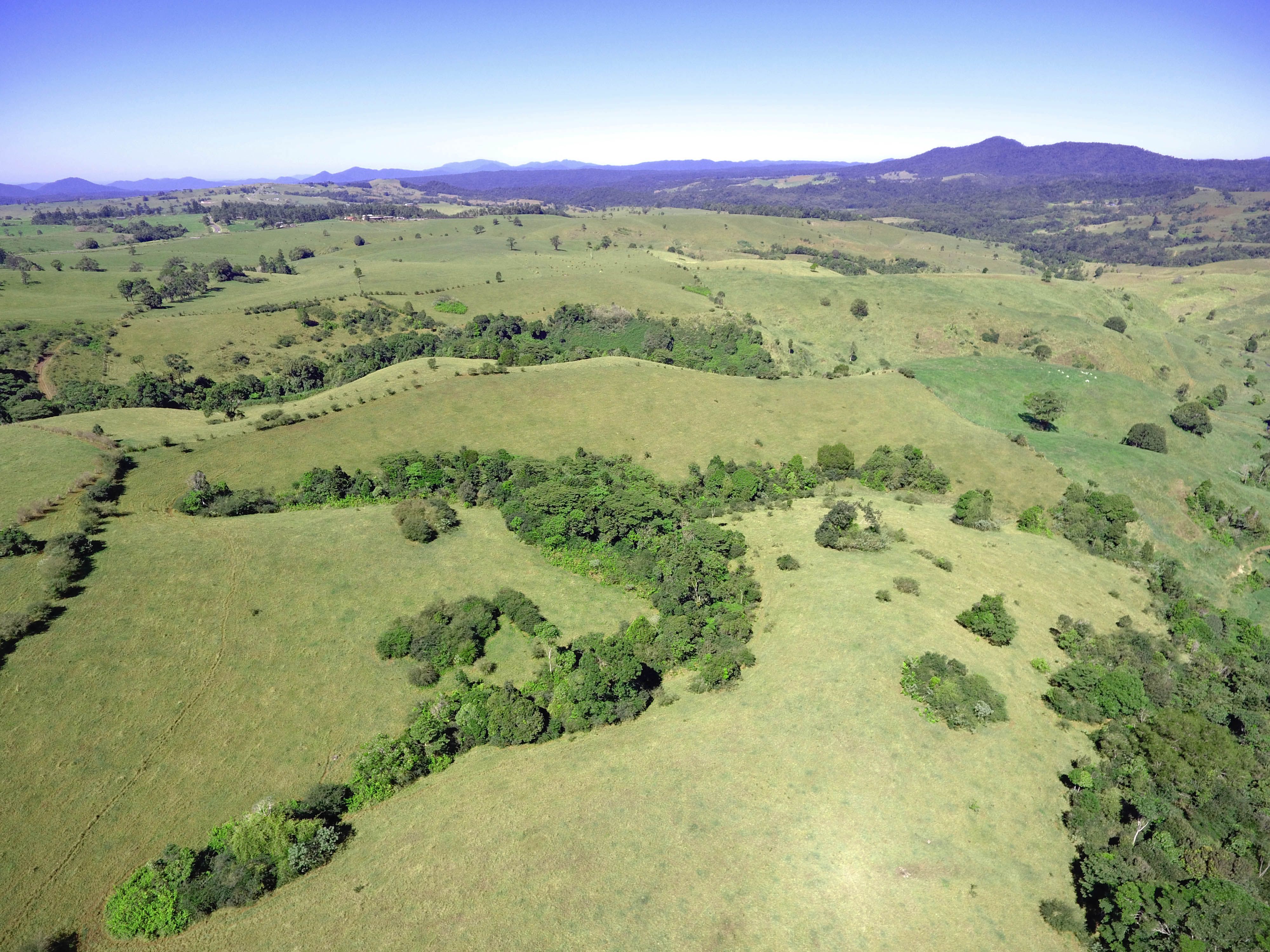 Millaa Millaa, QLD 4886