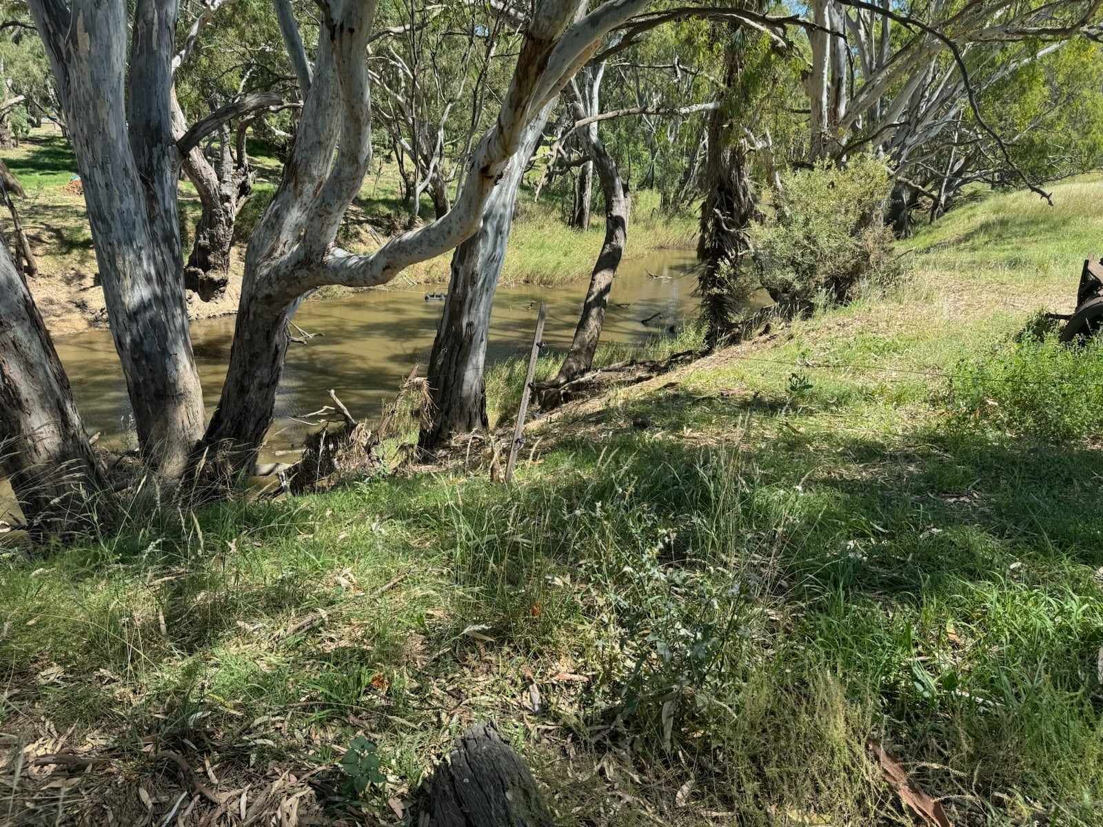 Rochester, VIC 3561 Rural Mixed Farming Property for Sale Ray White