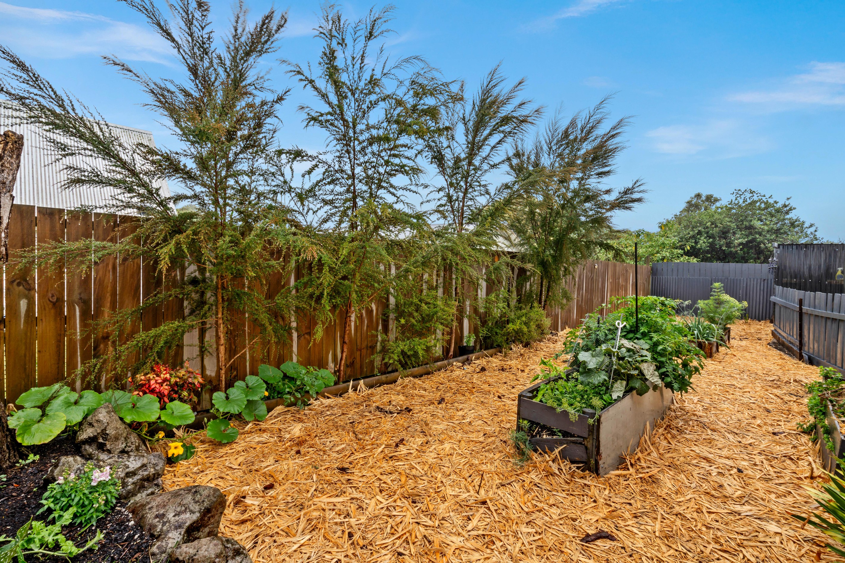 25 Meadow Park Crescent, Tikipunga, Whangarei District