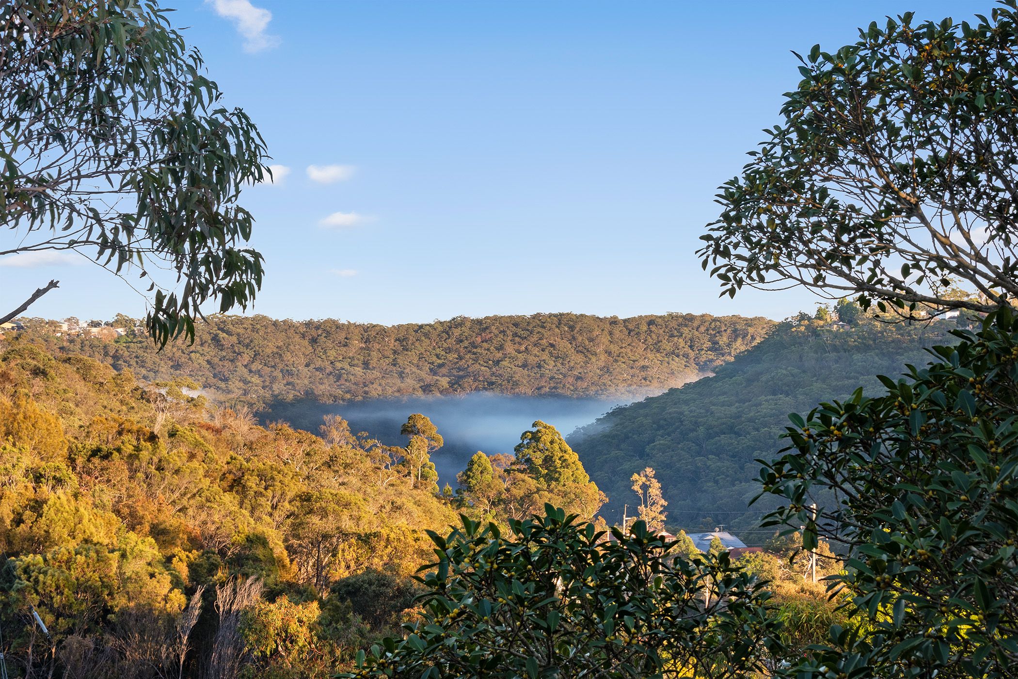 36 Helvetia Avenue, Berowra, NSW 2081