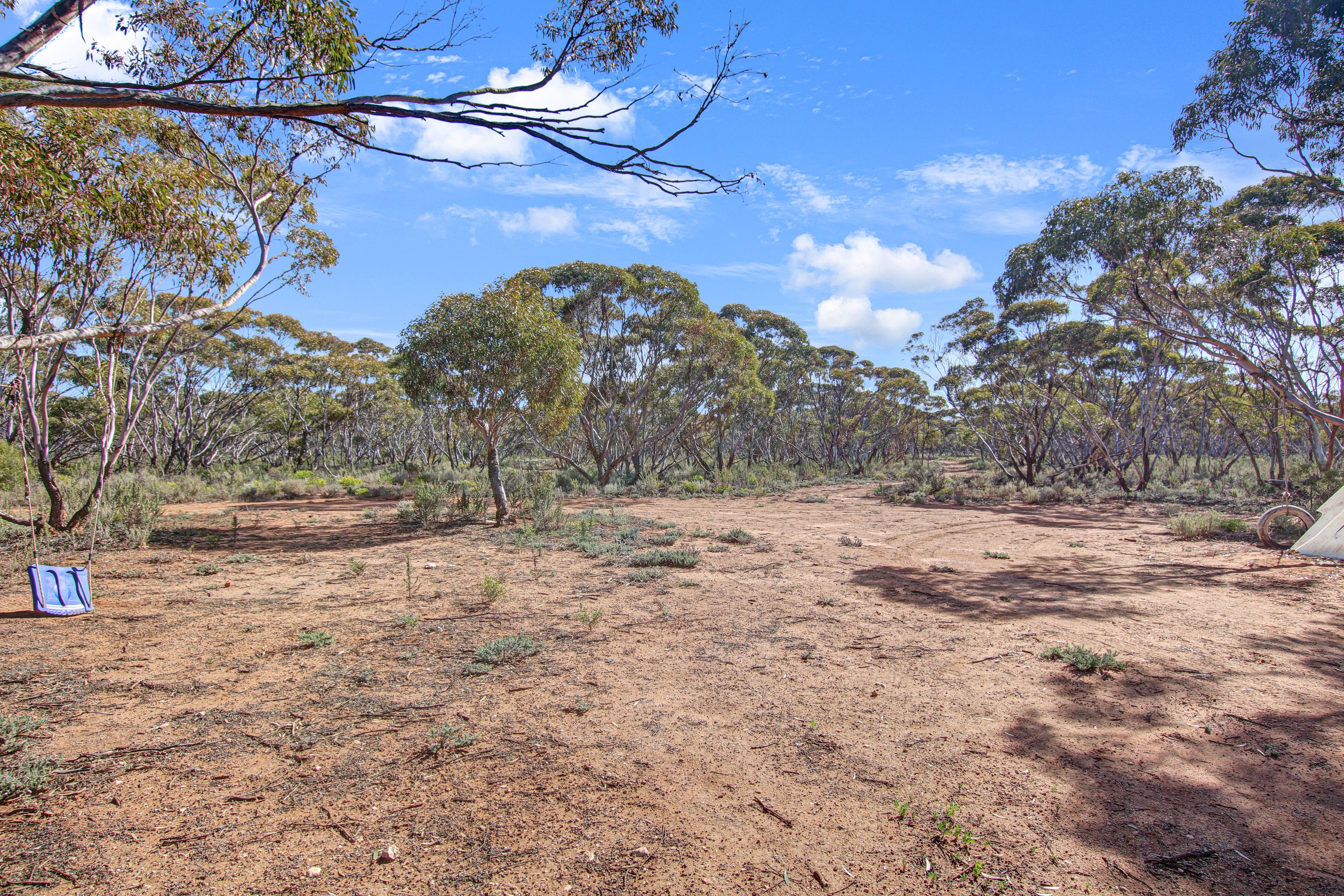 Lot 11 Sturt Highway, Blanchetown, SA 5357 Sold Land Ray White