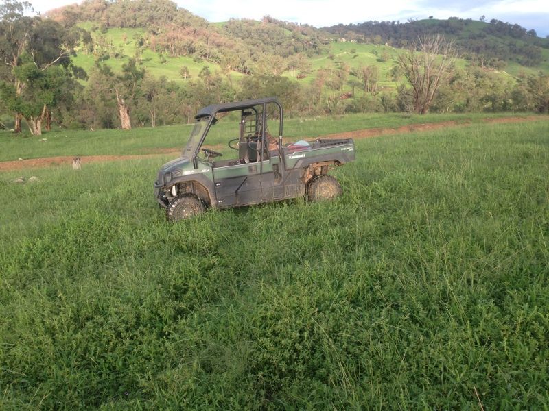 '' Coghlan", Weabonga, NSW 2340