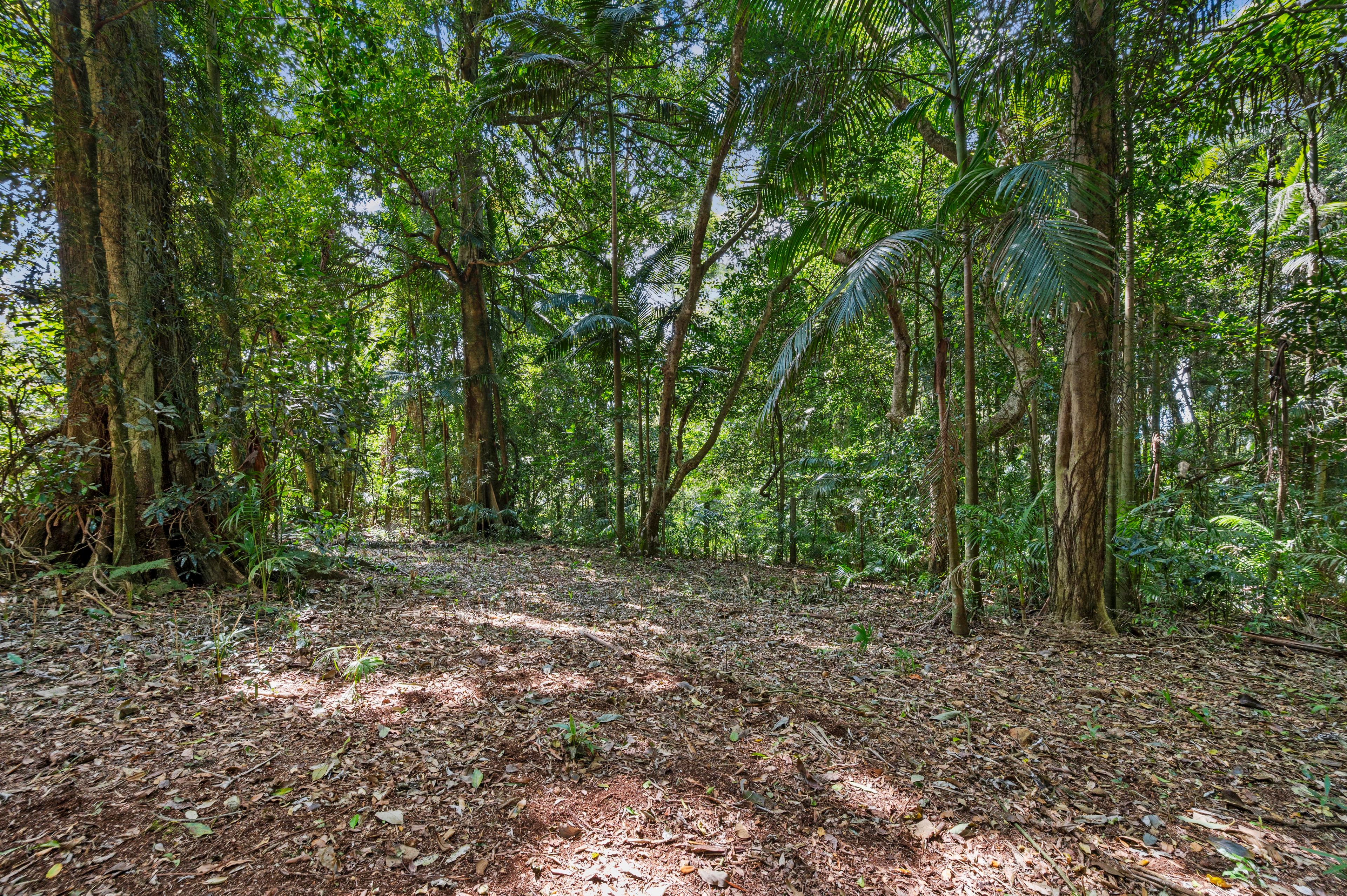 Lot 2, 2046 Mount Glorious Road, Mount Glorious, QLD 4520