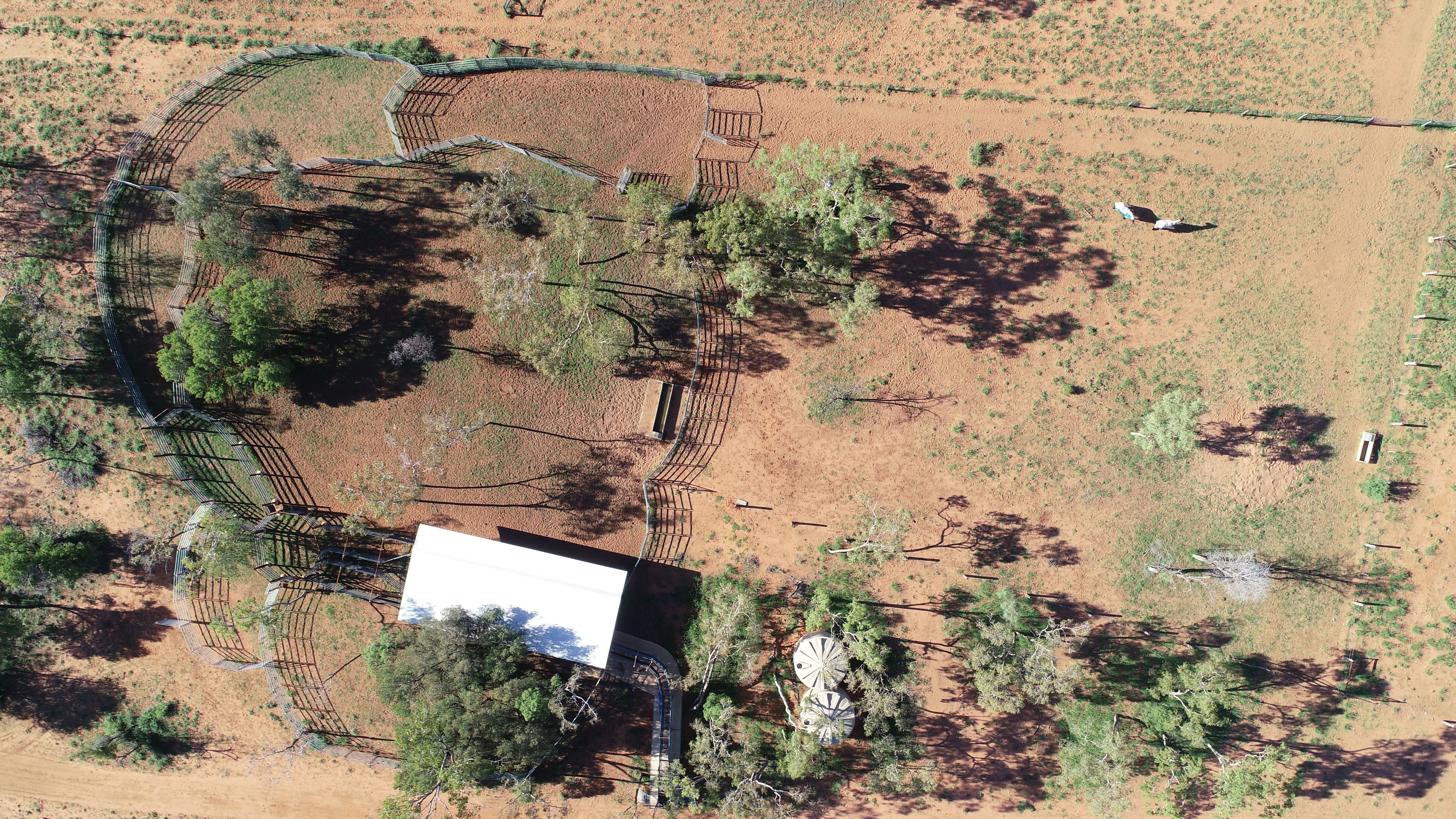 Barcaldine, QLD 4725