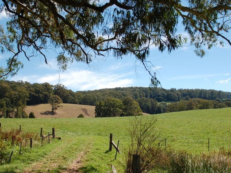 235 Beaumonts Road, Deer Vale, NSW 2453