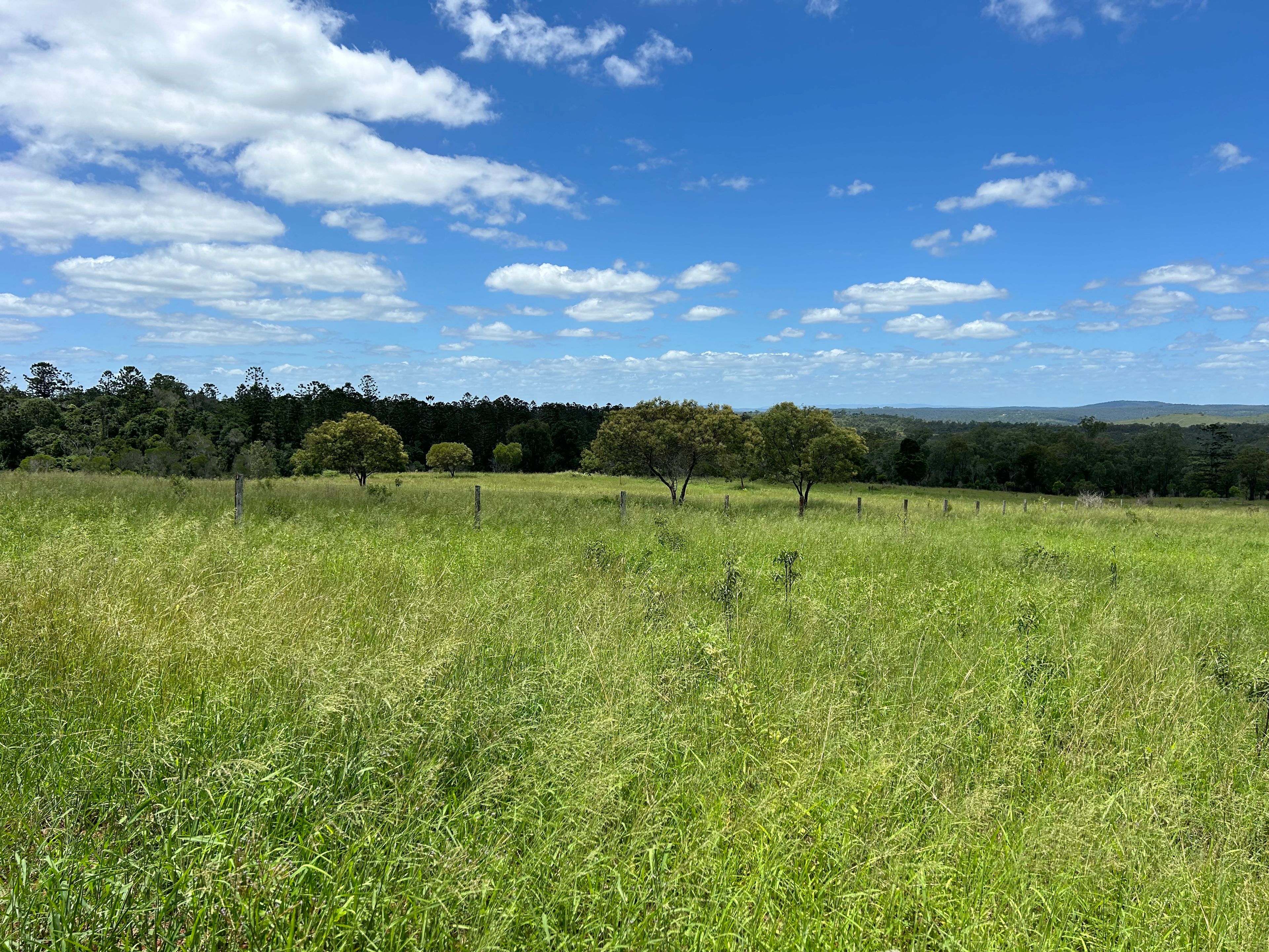 LOT 54 Gibsons Road, Yarraman, QLD 4614 Rural Property for Sale Ray