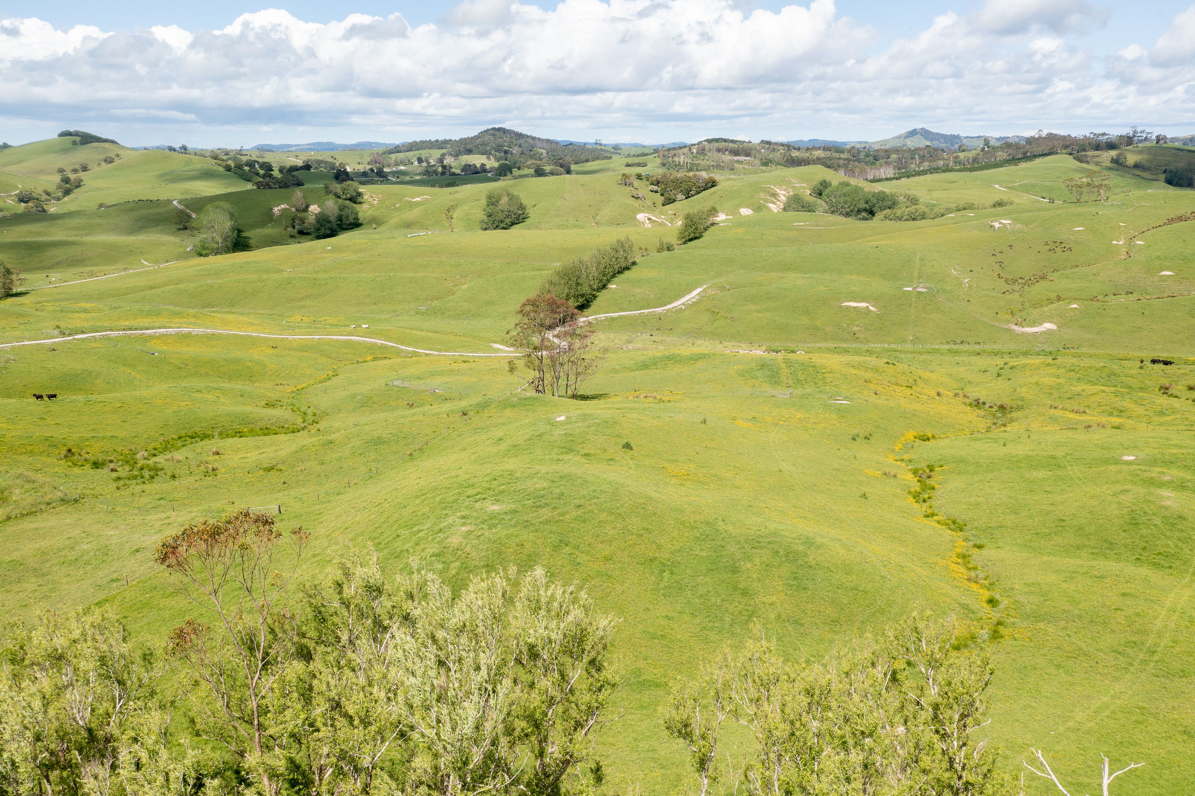 Lot 1/& Lot 5 Wharehine Road, Wellsford, Rodney