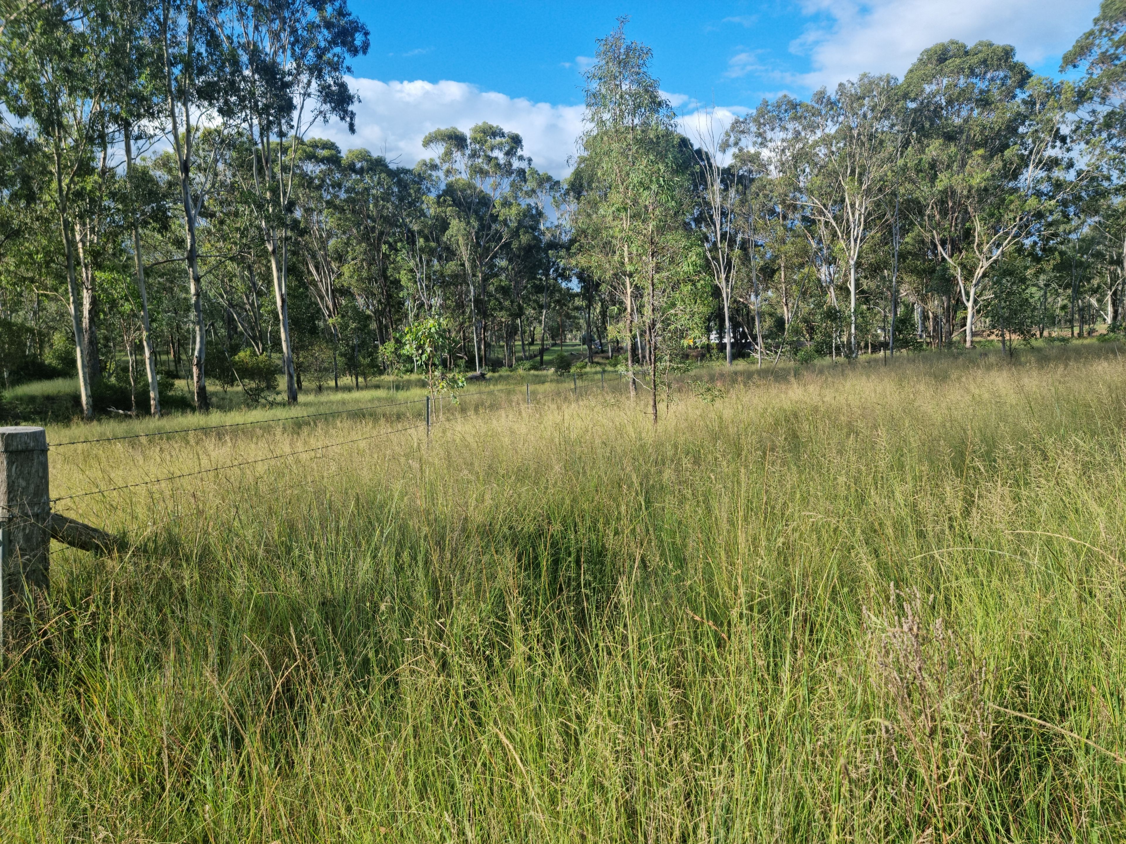"Another Great Sale by Ian Newson Ray White Mundubbera" 264