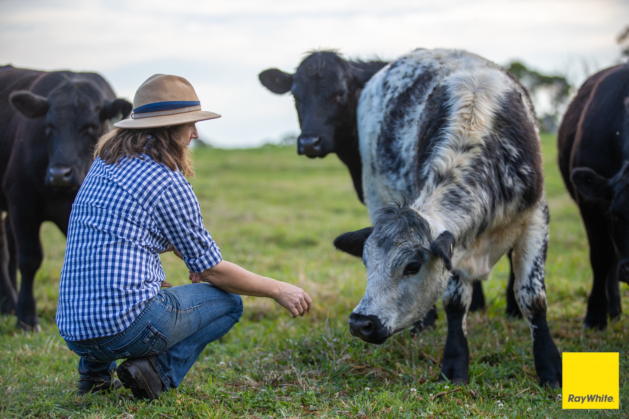 6060 Waterfall Way, Dorrigo, NSW 2453