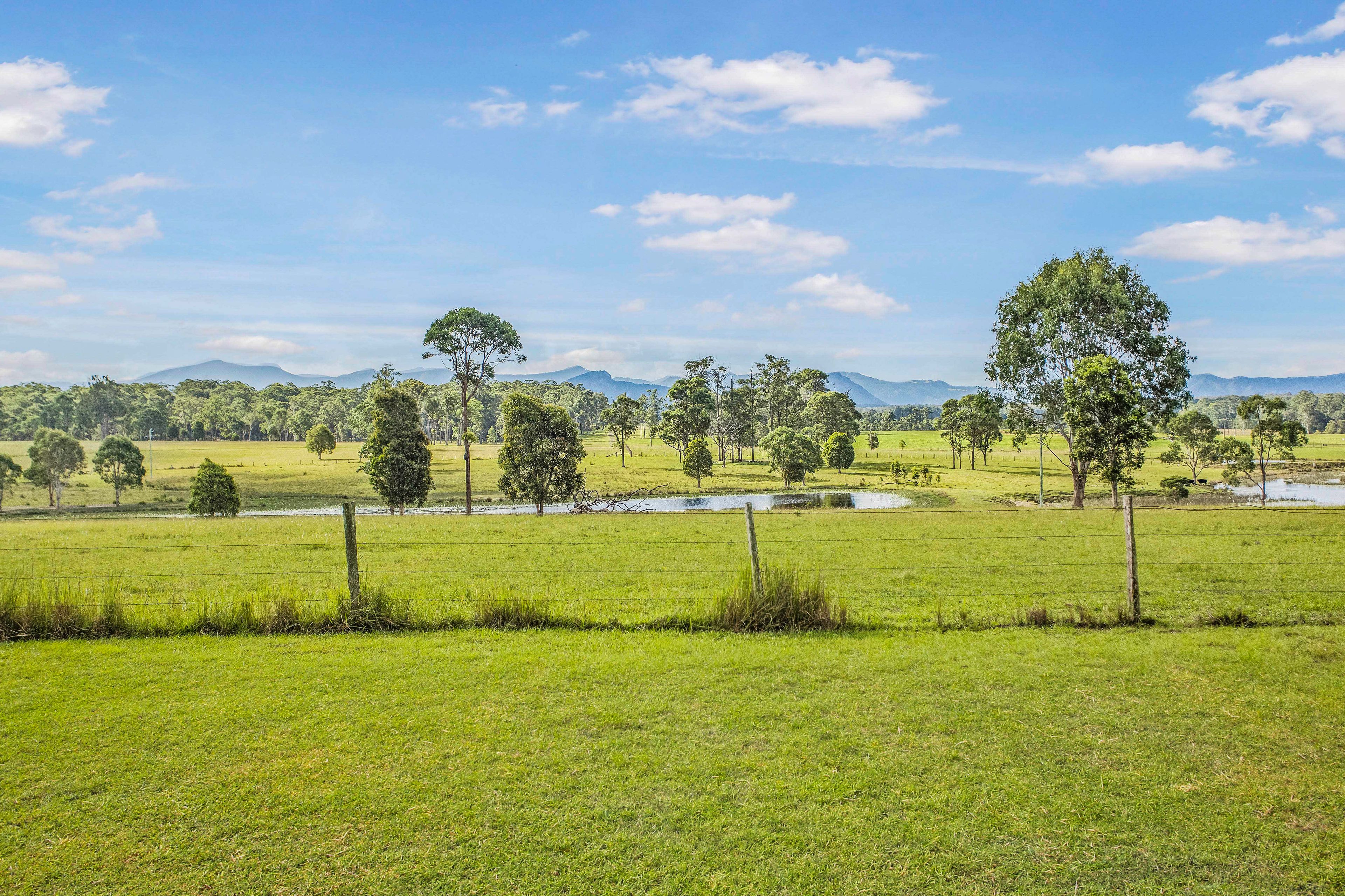125 Shorts Road, Wingham, NSW 2429
