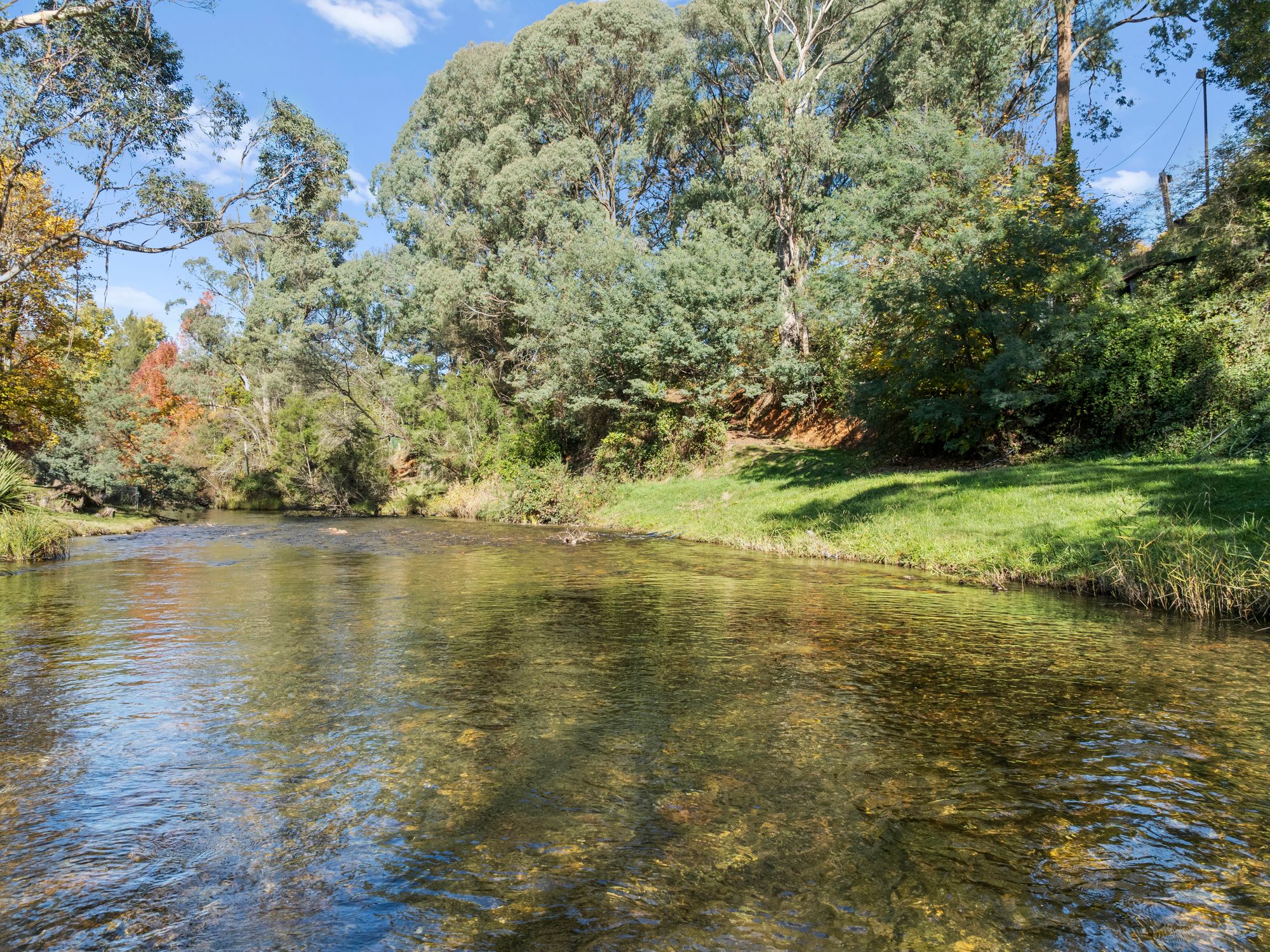 39 Chenery Street — photo from Ray White Mansfield