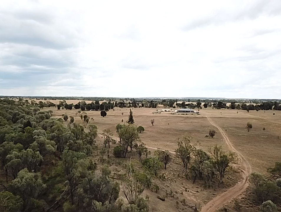 217 Blue Hills Road, Wallumbilla Via Roma, Roma, QLD 4455