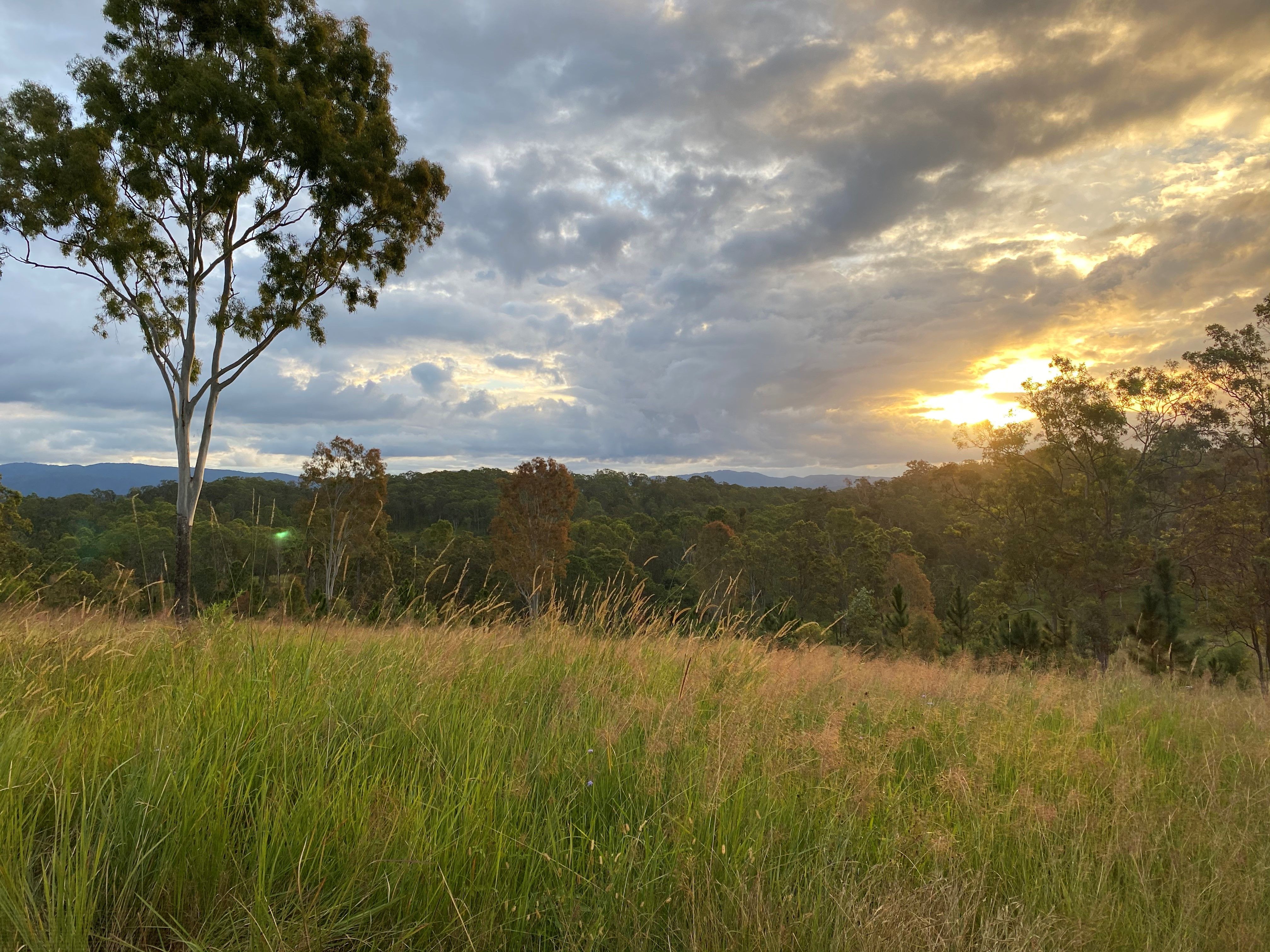 Gate 60 Dayboro Road, Rush Creek, QLD 4521 Sold Land Ray White