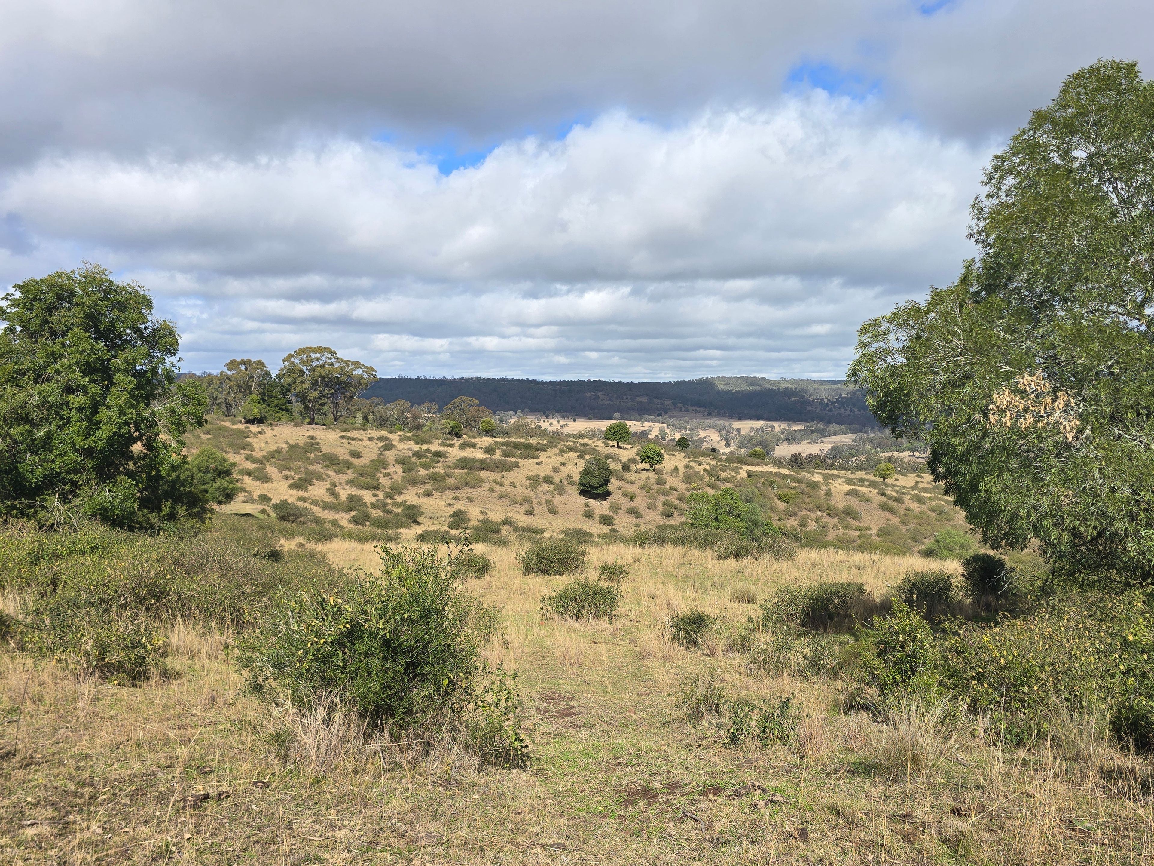 Lot 314 New England Highway — photo from Ray White Rural Crows Nest
