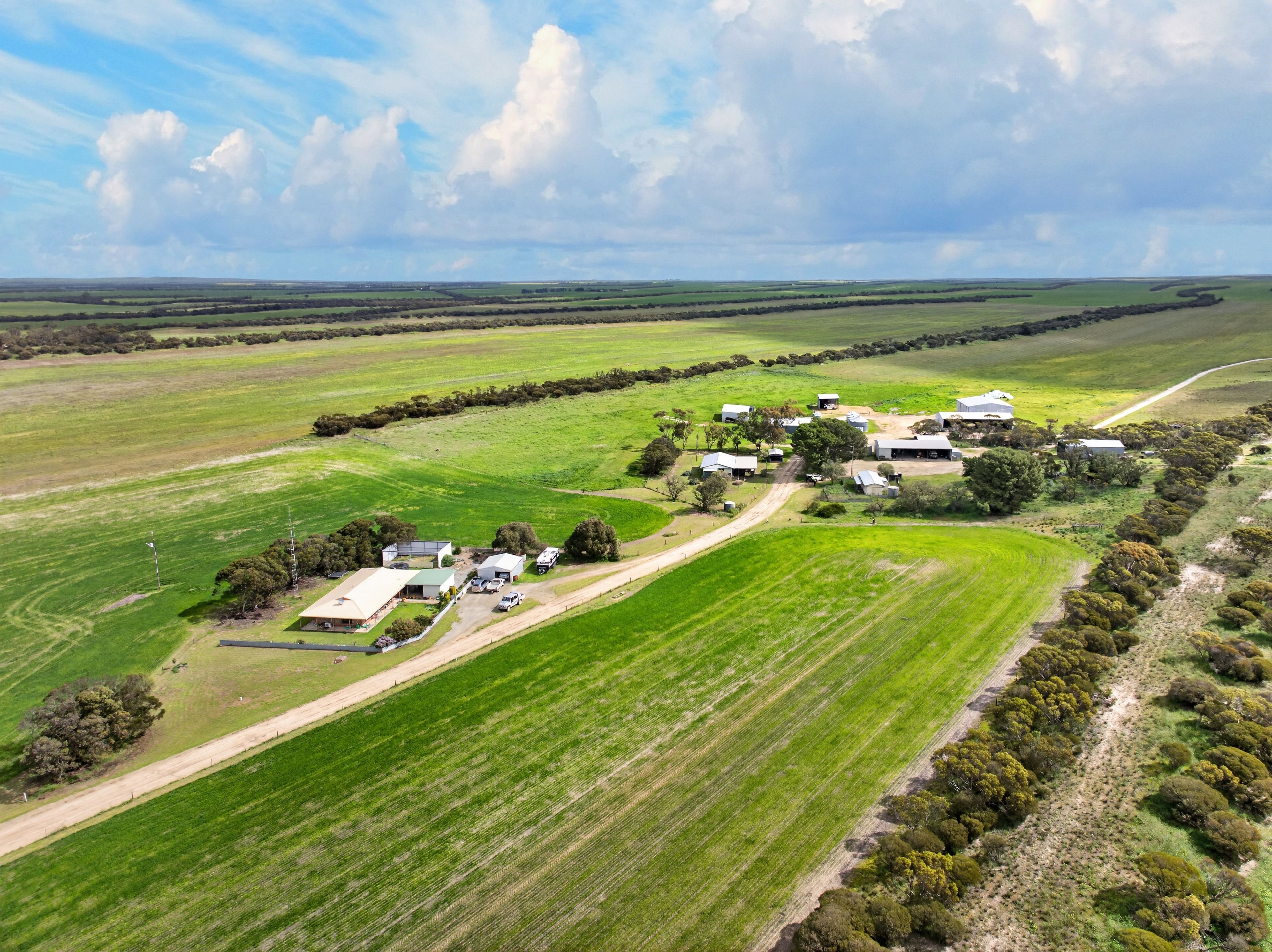 'Mungala' Murdinga-Murlong Road — photo from Ray White Rural South Australia
