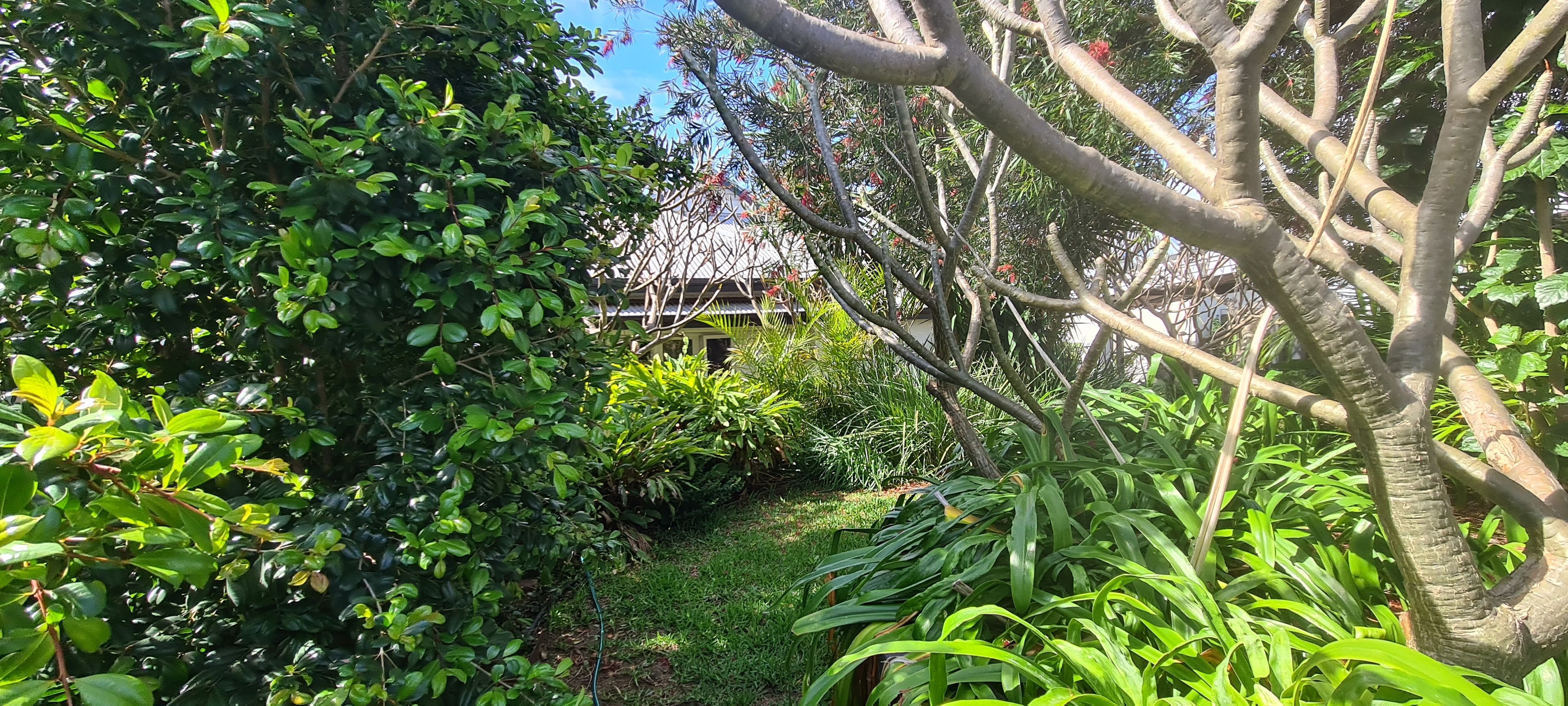 60 Jenkin Street, South Fremantle, WA 6162 Sold House Ray White