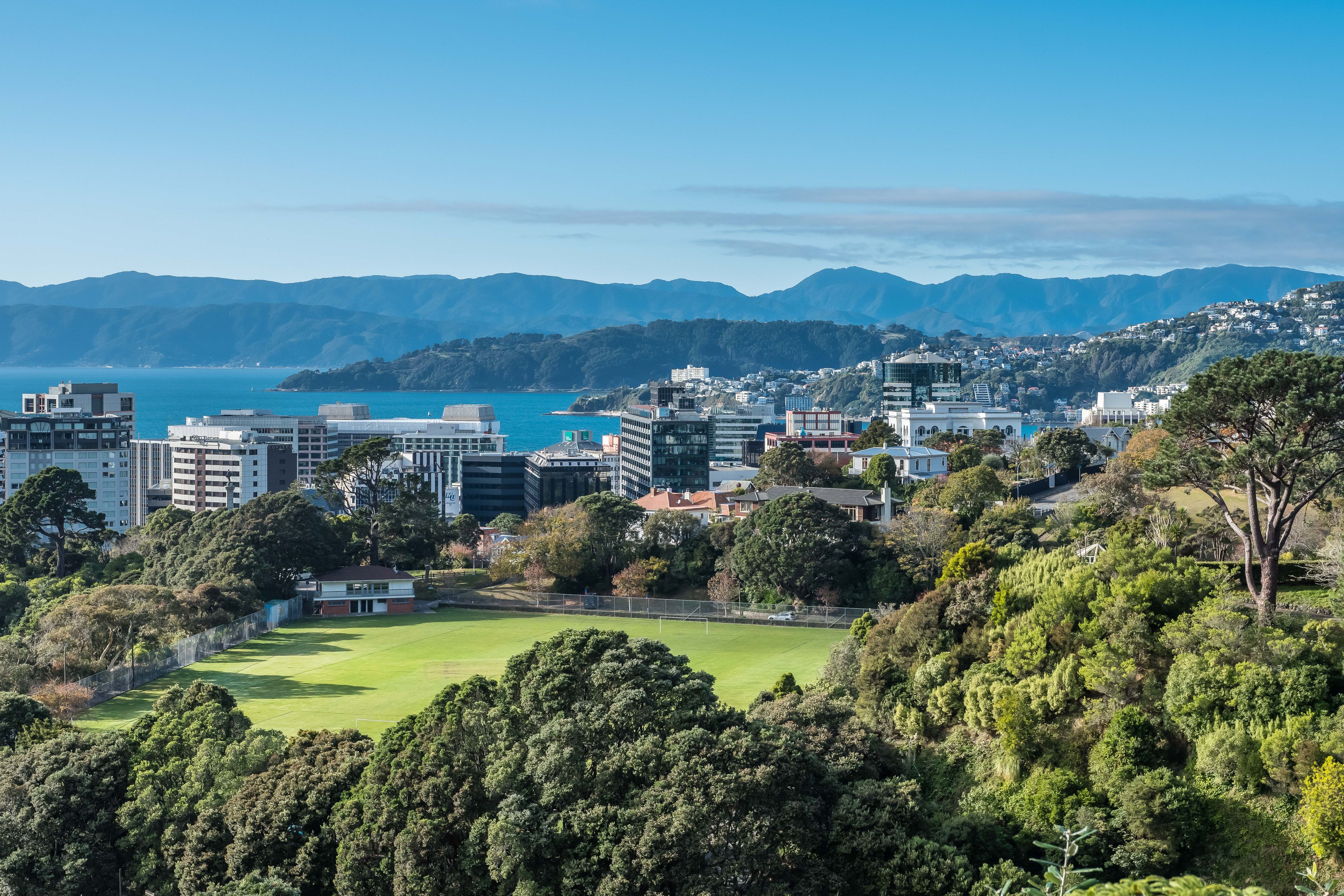 41 Patanga Crescent, Thorndon, Wellington City