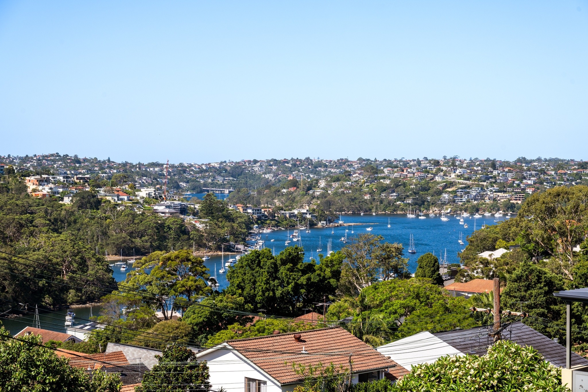 55B Carter Street, Cammeray, NSW 2062