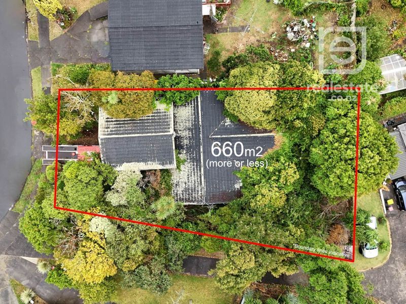 15 Wilbur Place photo 5