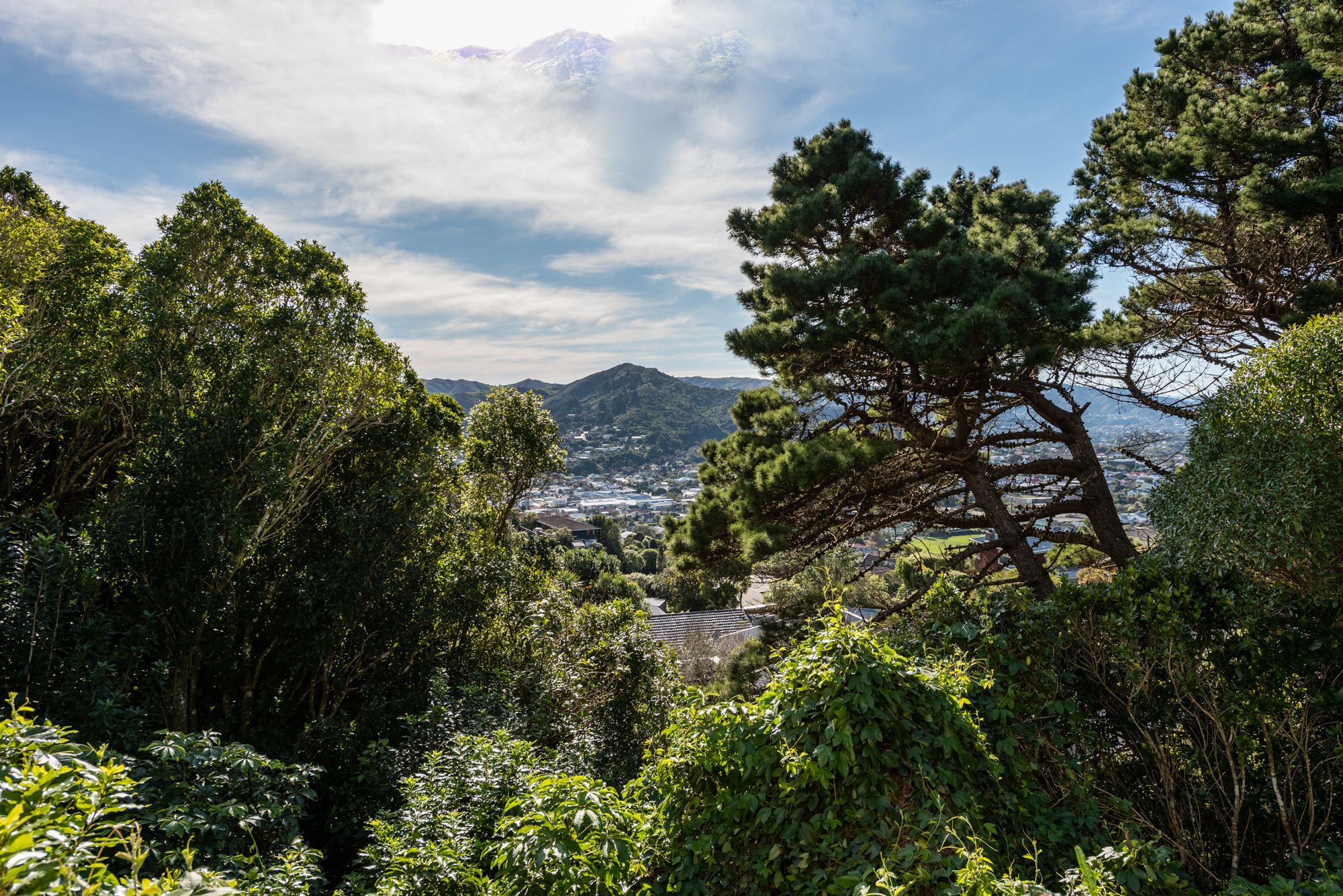21B Kilsyth Street, Karori, Wellington City