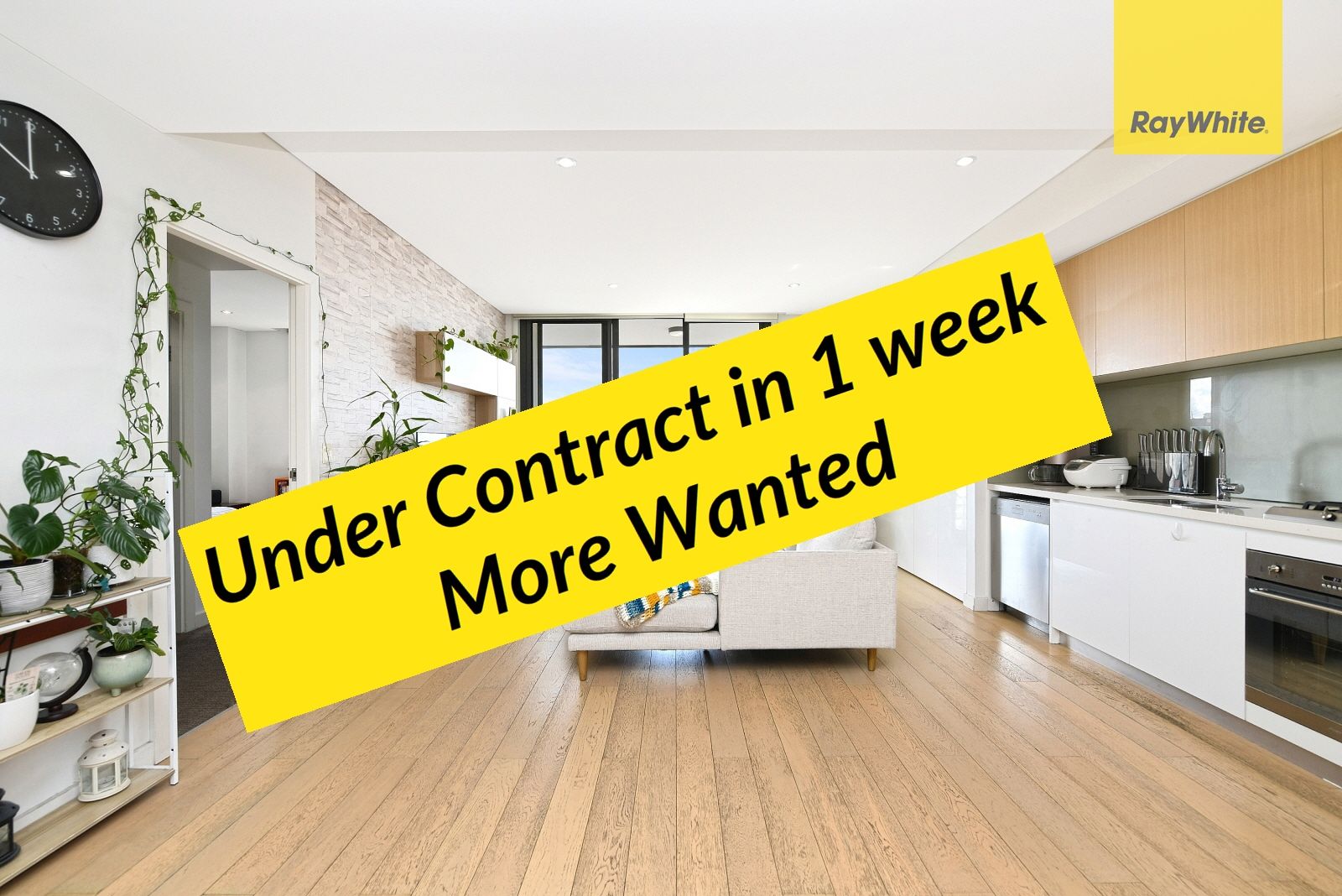 13 Angas Street, Meadowbank NSW 2114