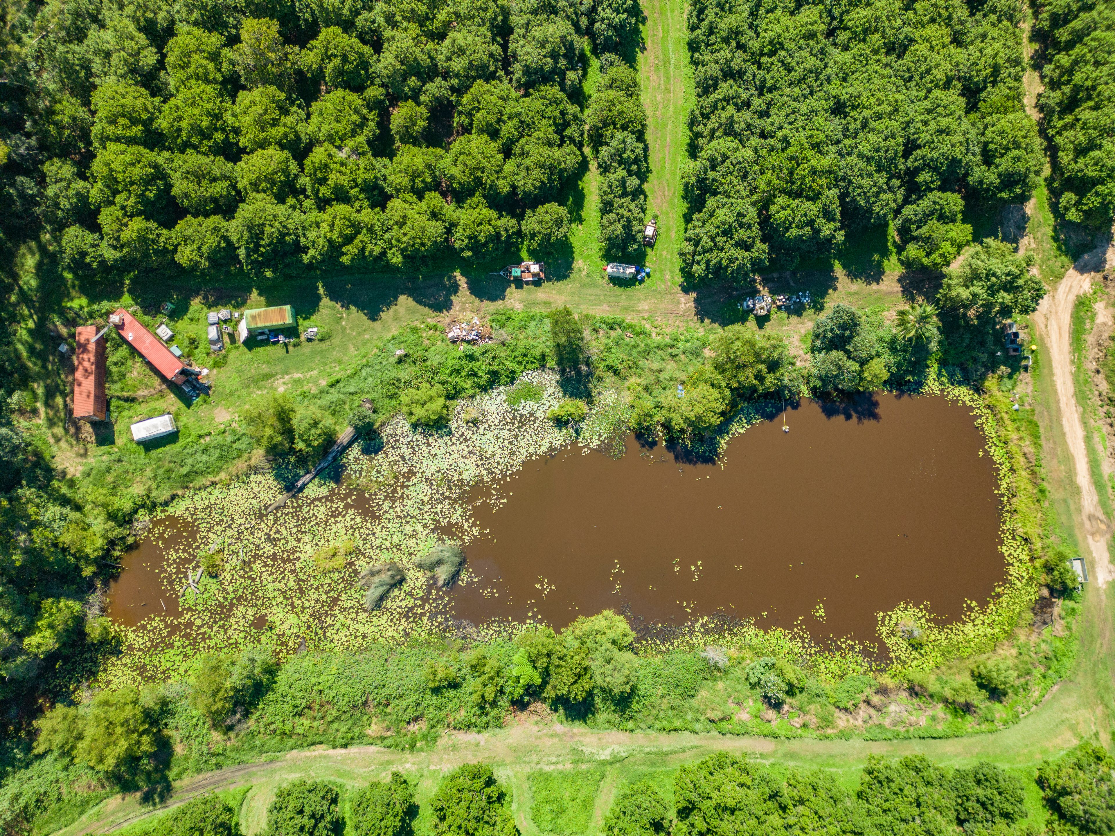 343 Commissioners Flat Road, Peachester, QLD 4519 Rural Cropping