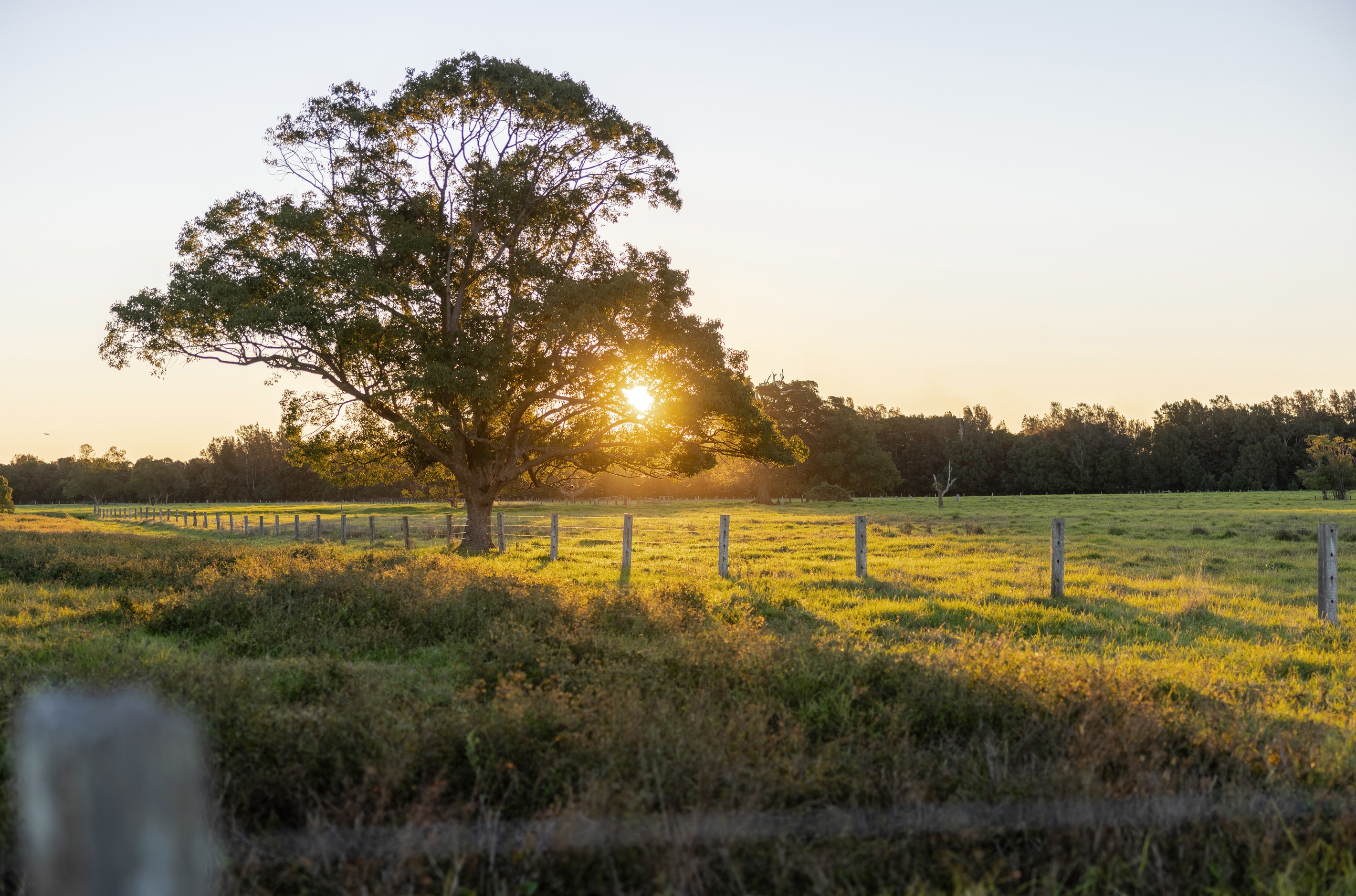 17301 Pacific Highway, Cundletown, NSW 2430
