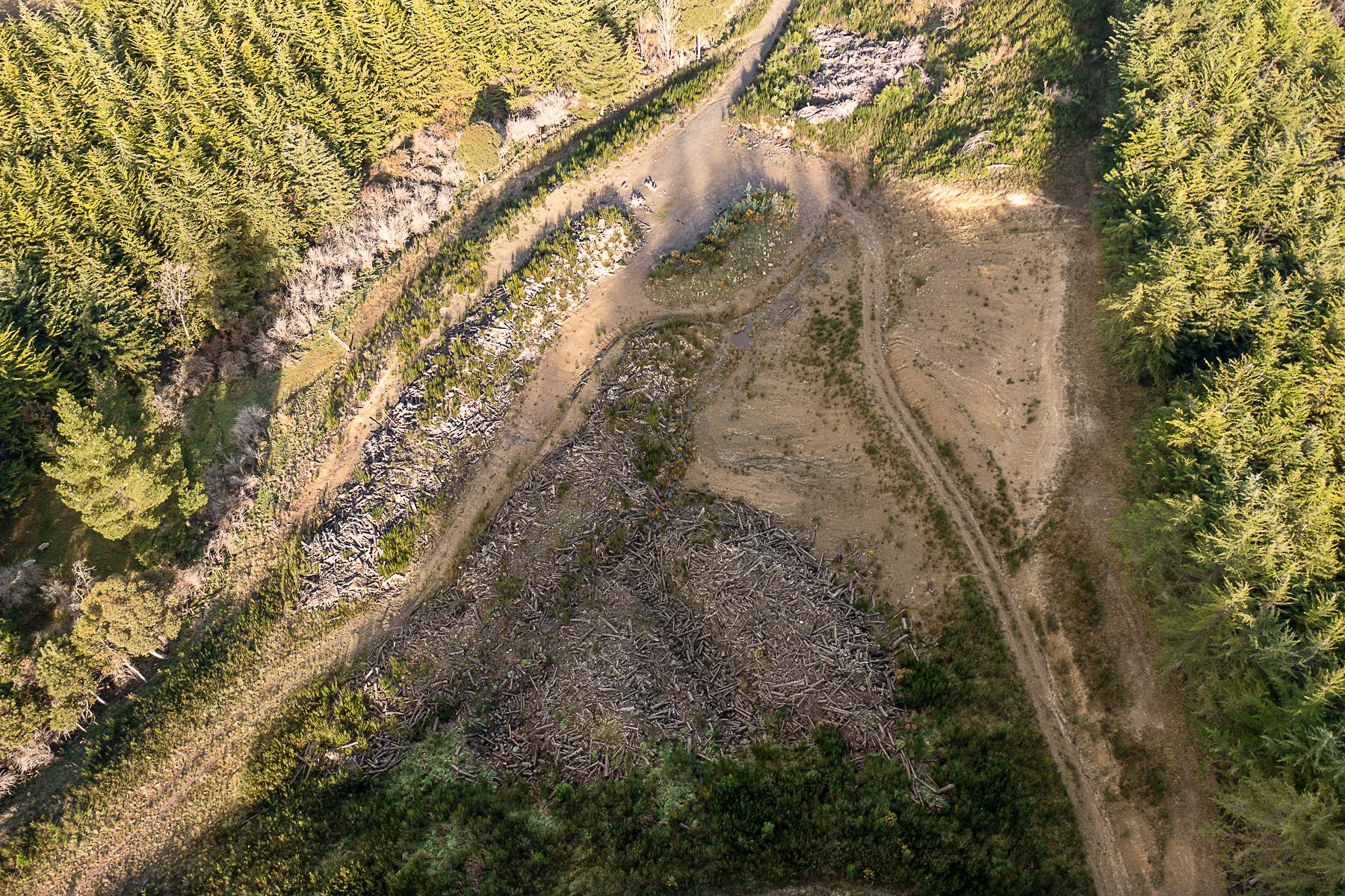 945 Taylor Pass Road, Blenheim, Marlborough 7201 Rural Forestry