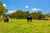 648 West Coast Road photo 4