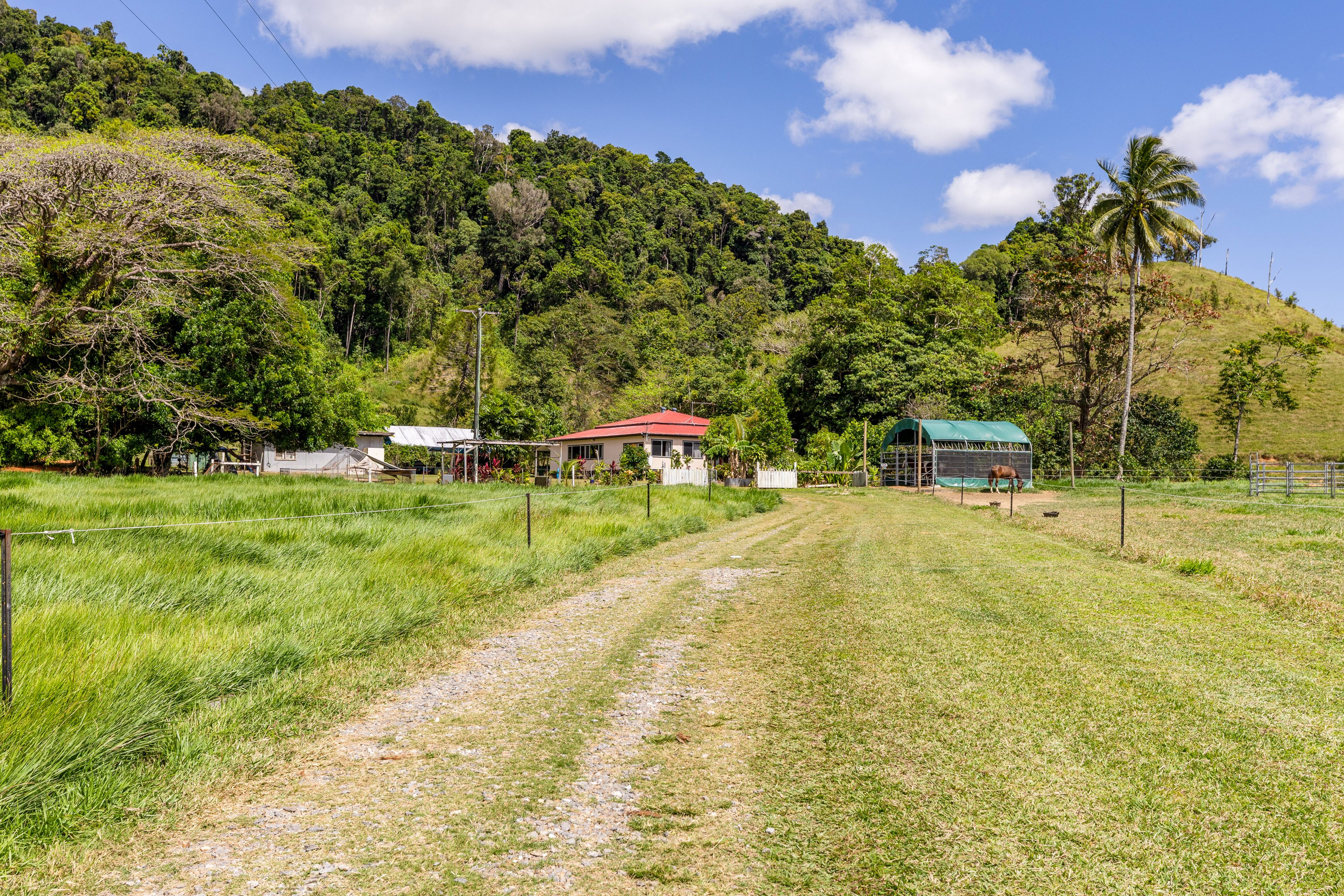 3391 Mossman Daintree Road, Daintree, QLD 4873 Sold House Ray White