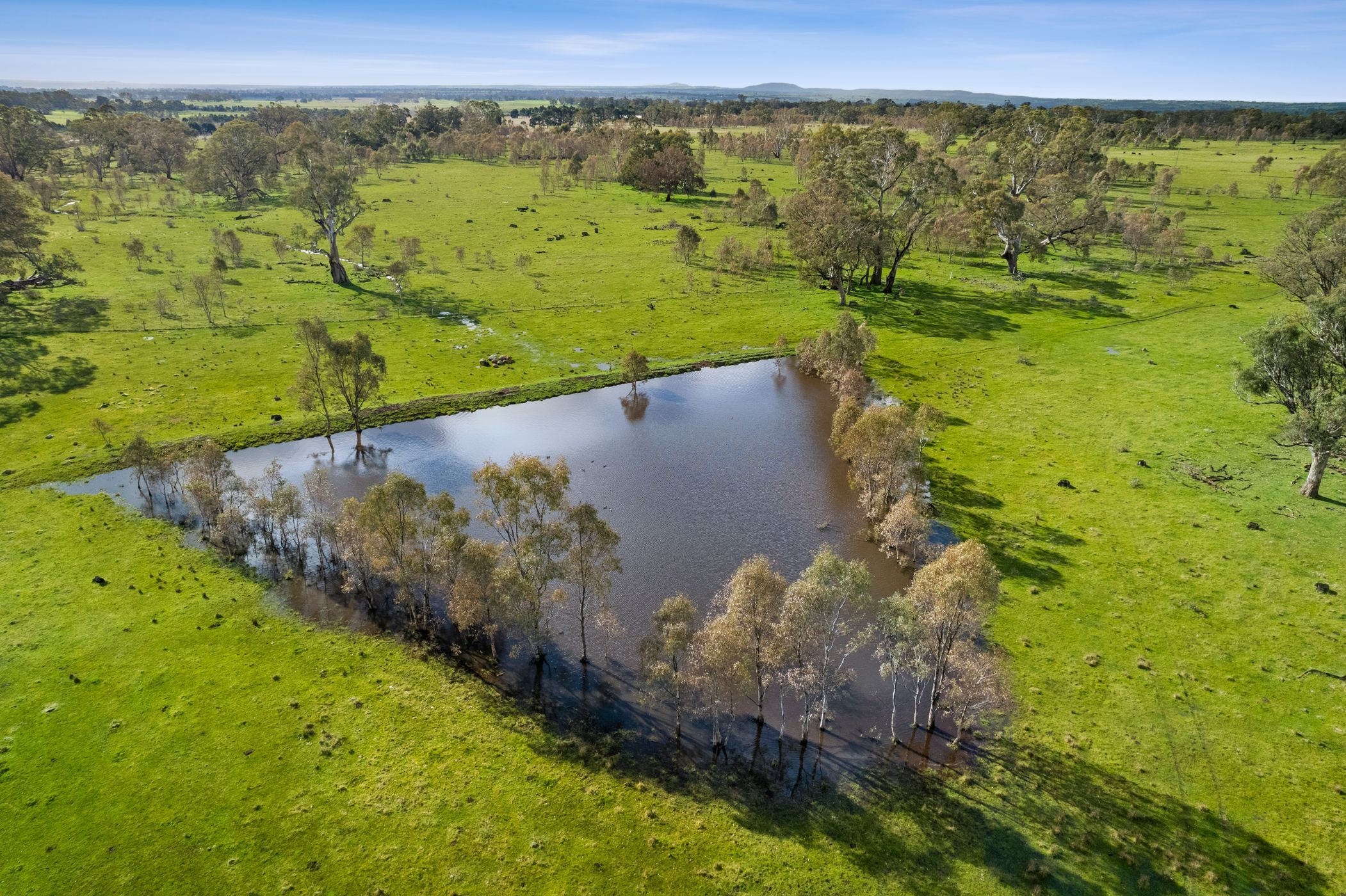 135 Andersons Lane, Glenhope, VIC 3444 Land for Sale Ray White
