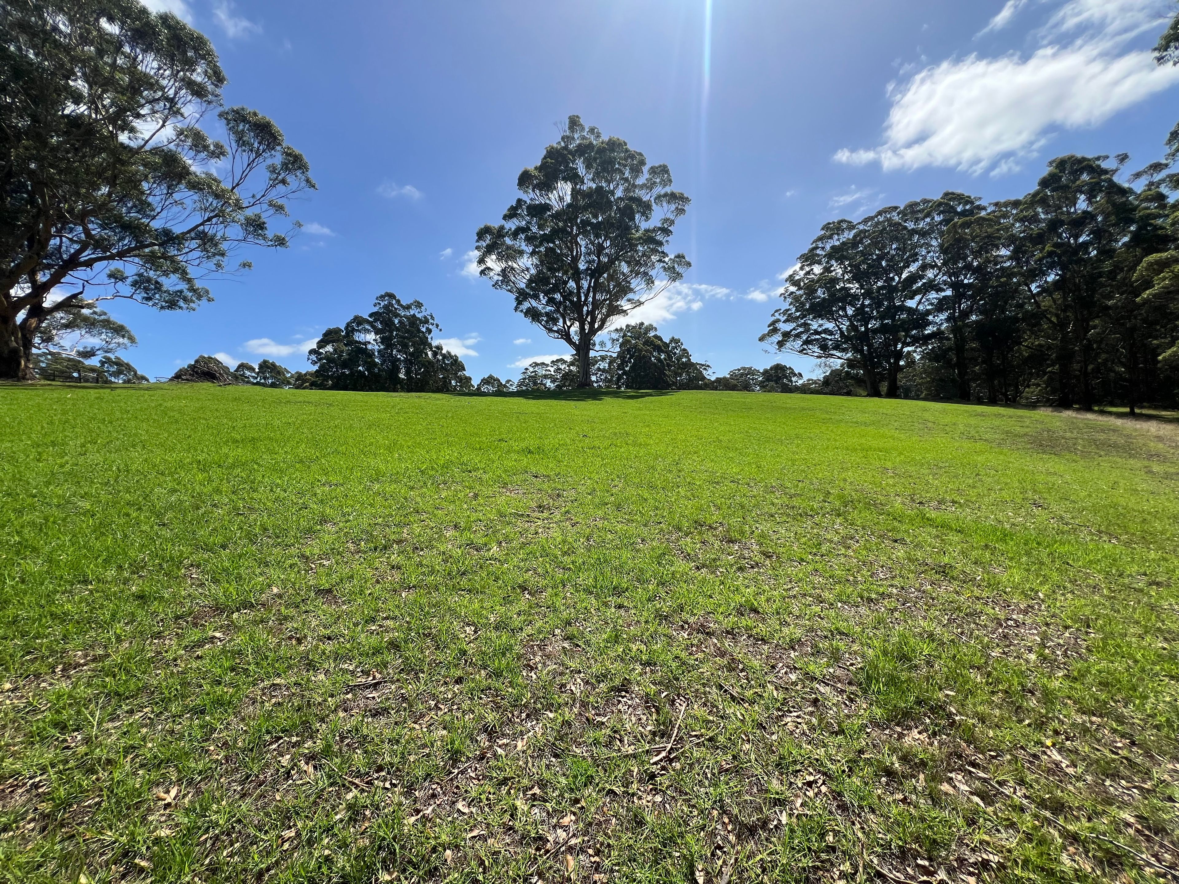 37 Pittam Way, Shadforth, WA 6333