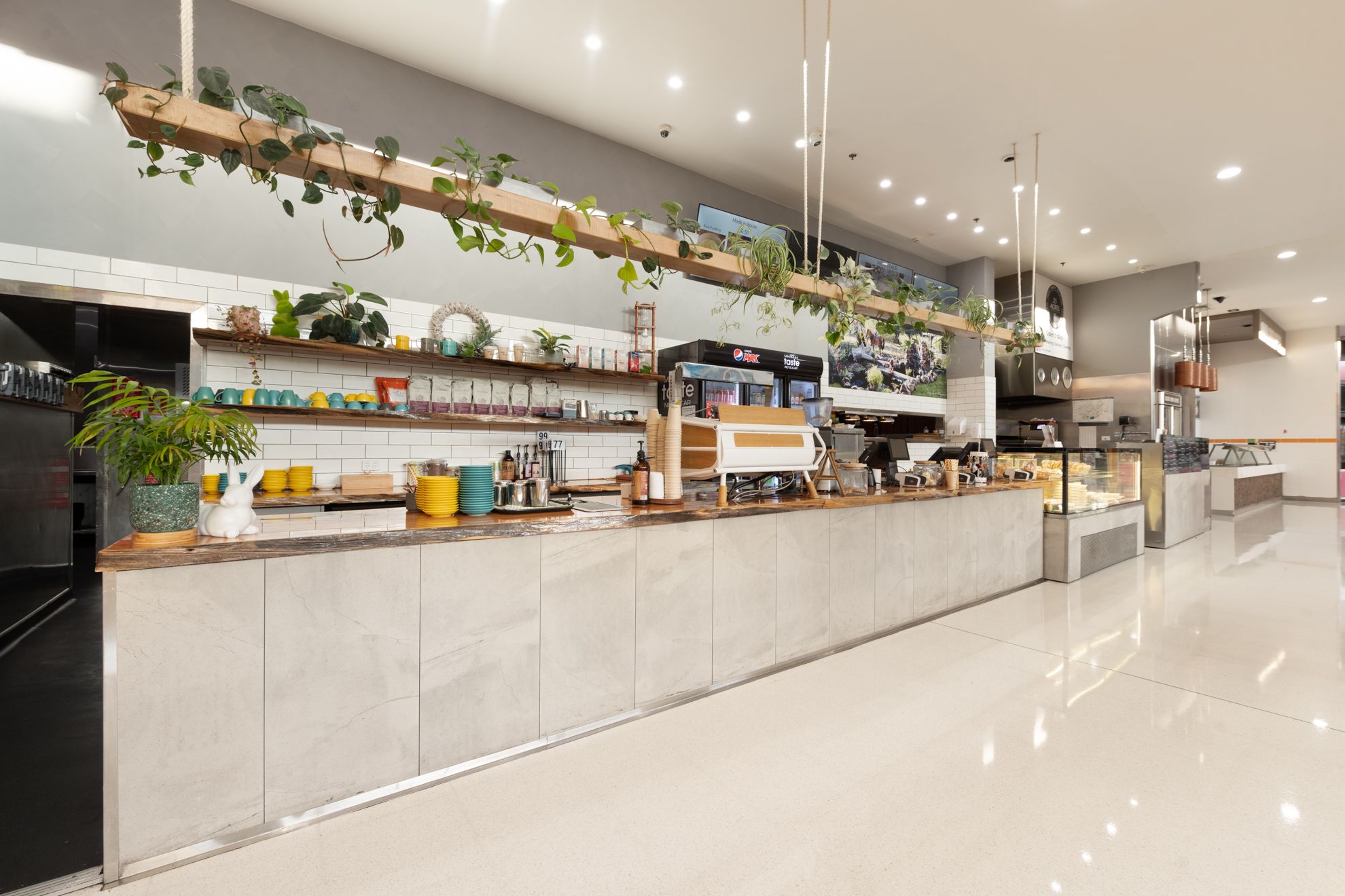 Mount Gambier, SA 5290 Business for Sale Ray White Mt Gambier