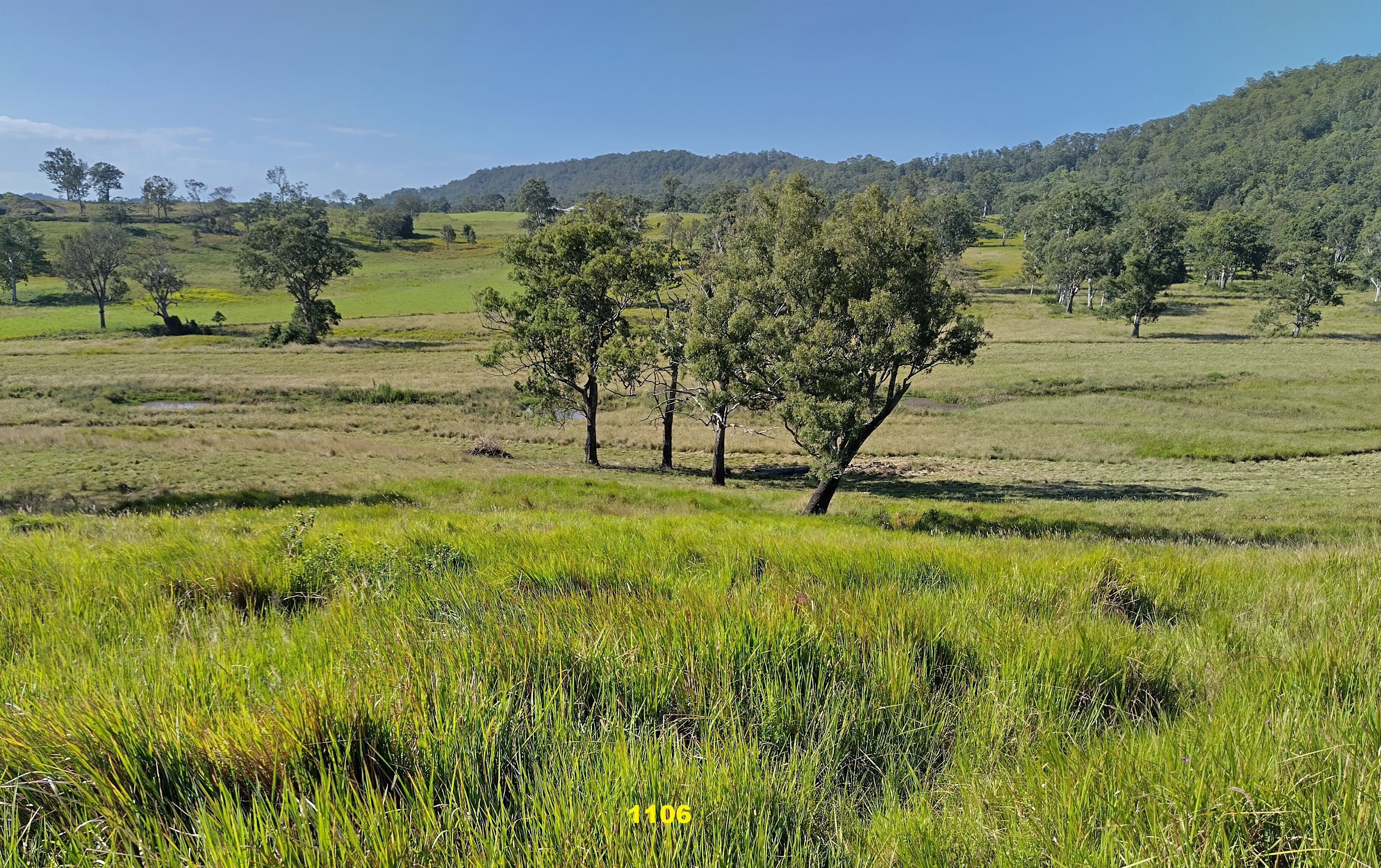 1106 Naughtons Gap Road — photo 22 of 27