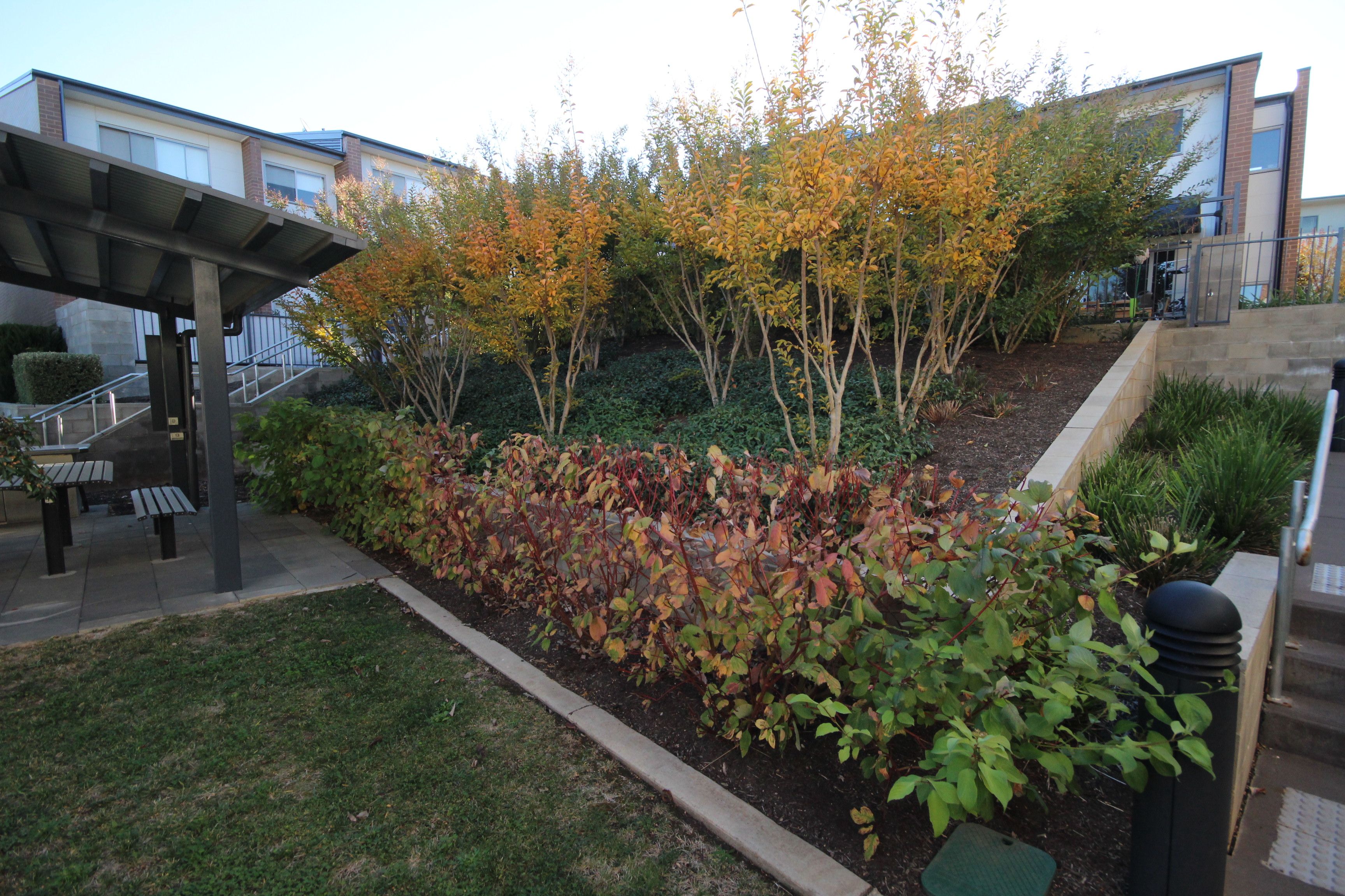 5/297 Flemington Road — photo 10 of 11