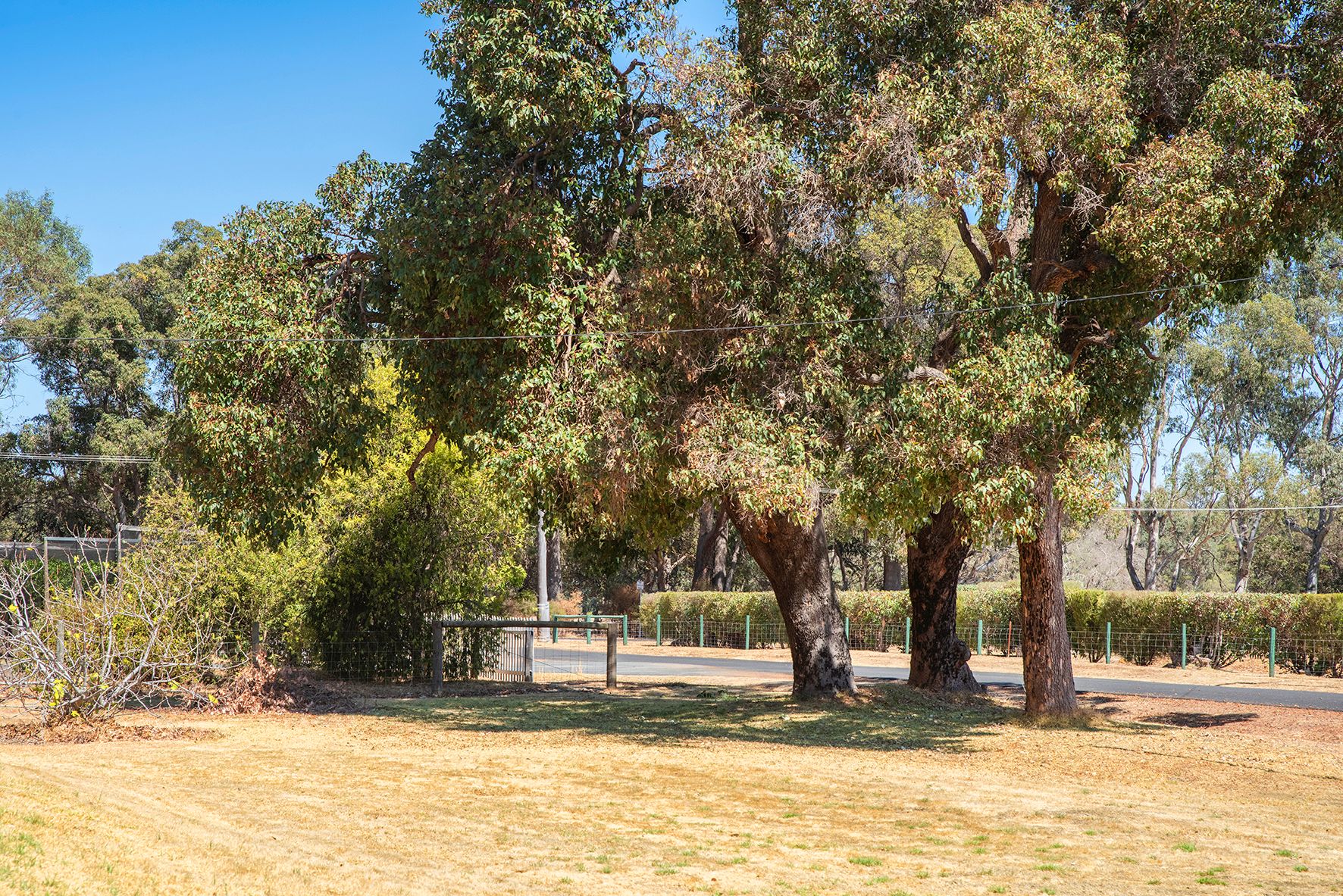 4 Payne Road, Capel, WA 6271 Sold House Ray White Stocker Preston