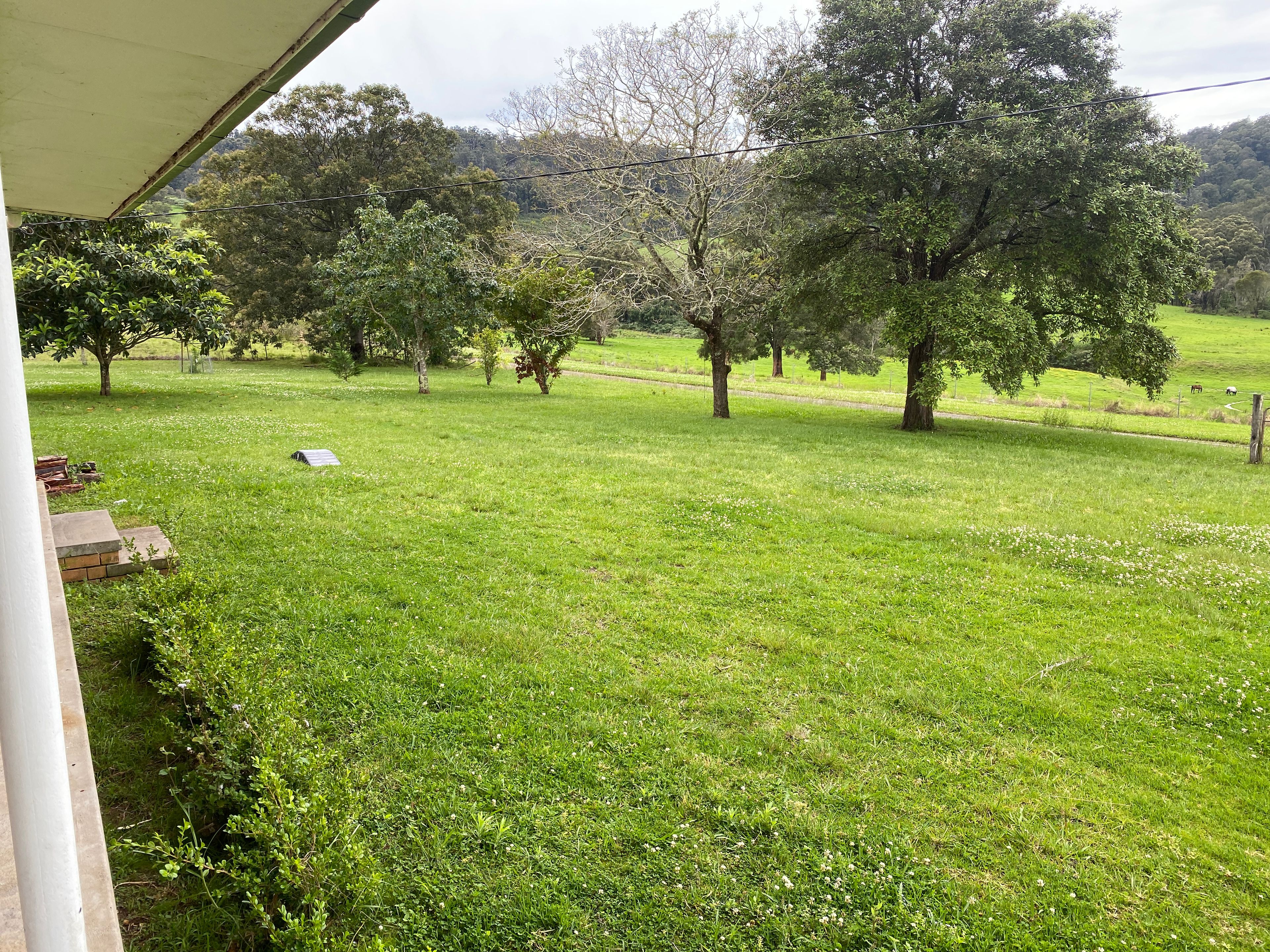 199 Wrights Lane, Dyers Crossing, NSW 2429