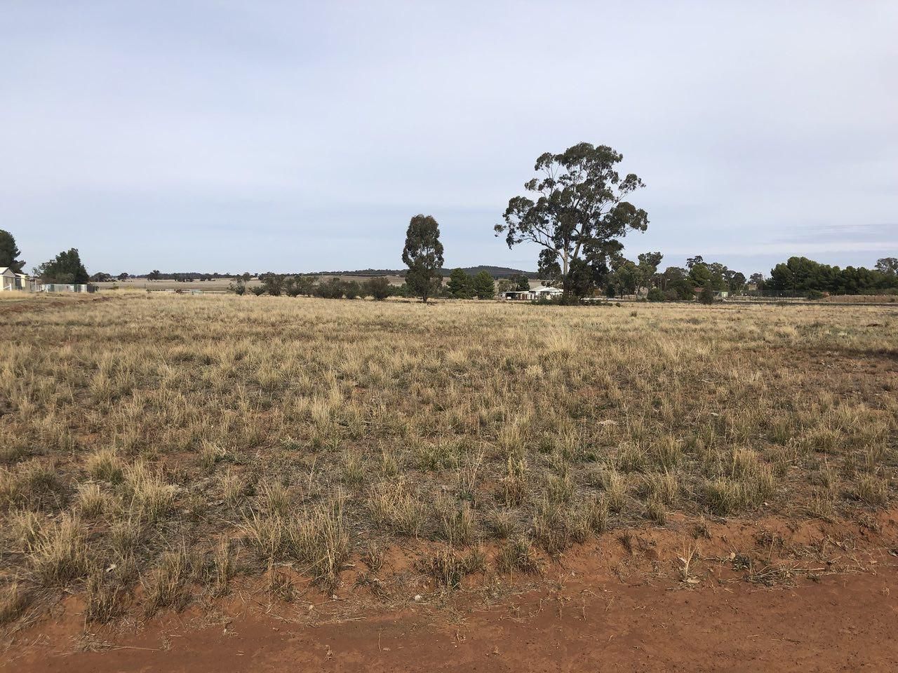 6 Bogan Street, Bogan Gate, NSW 2876