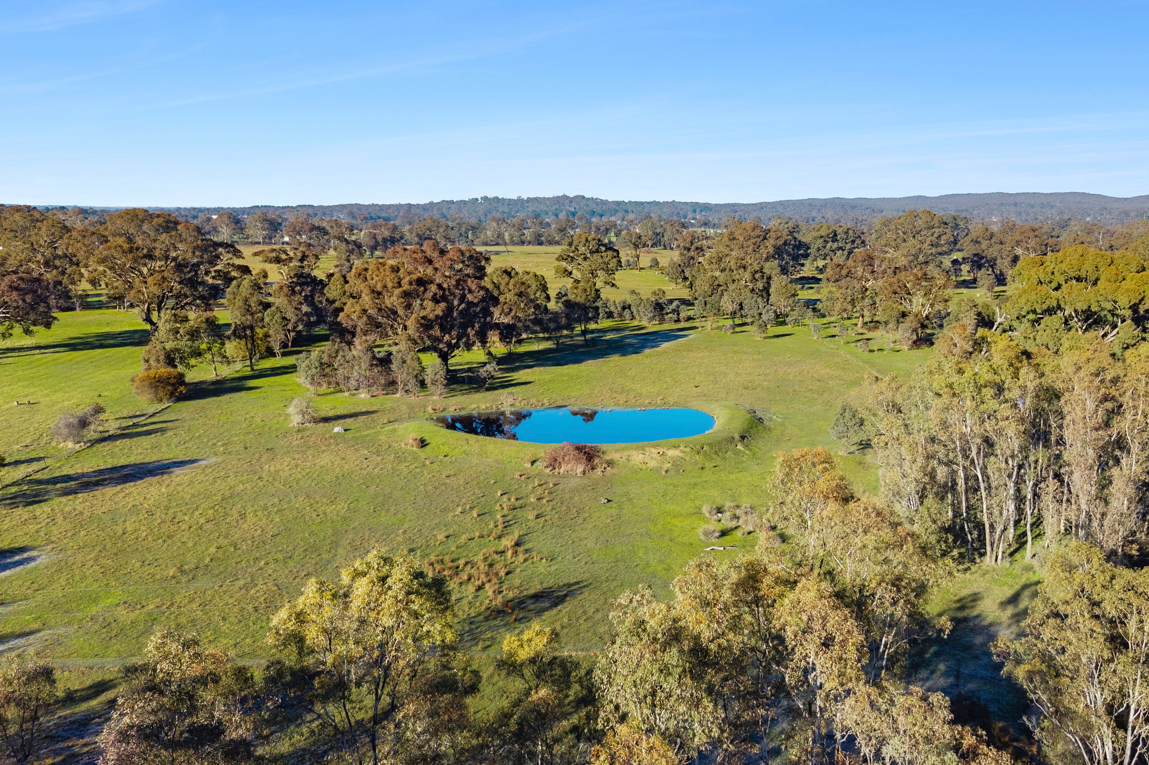 91 Pollards Road, Elphinstone, VIC 3448