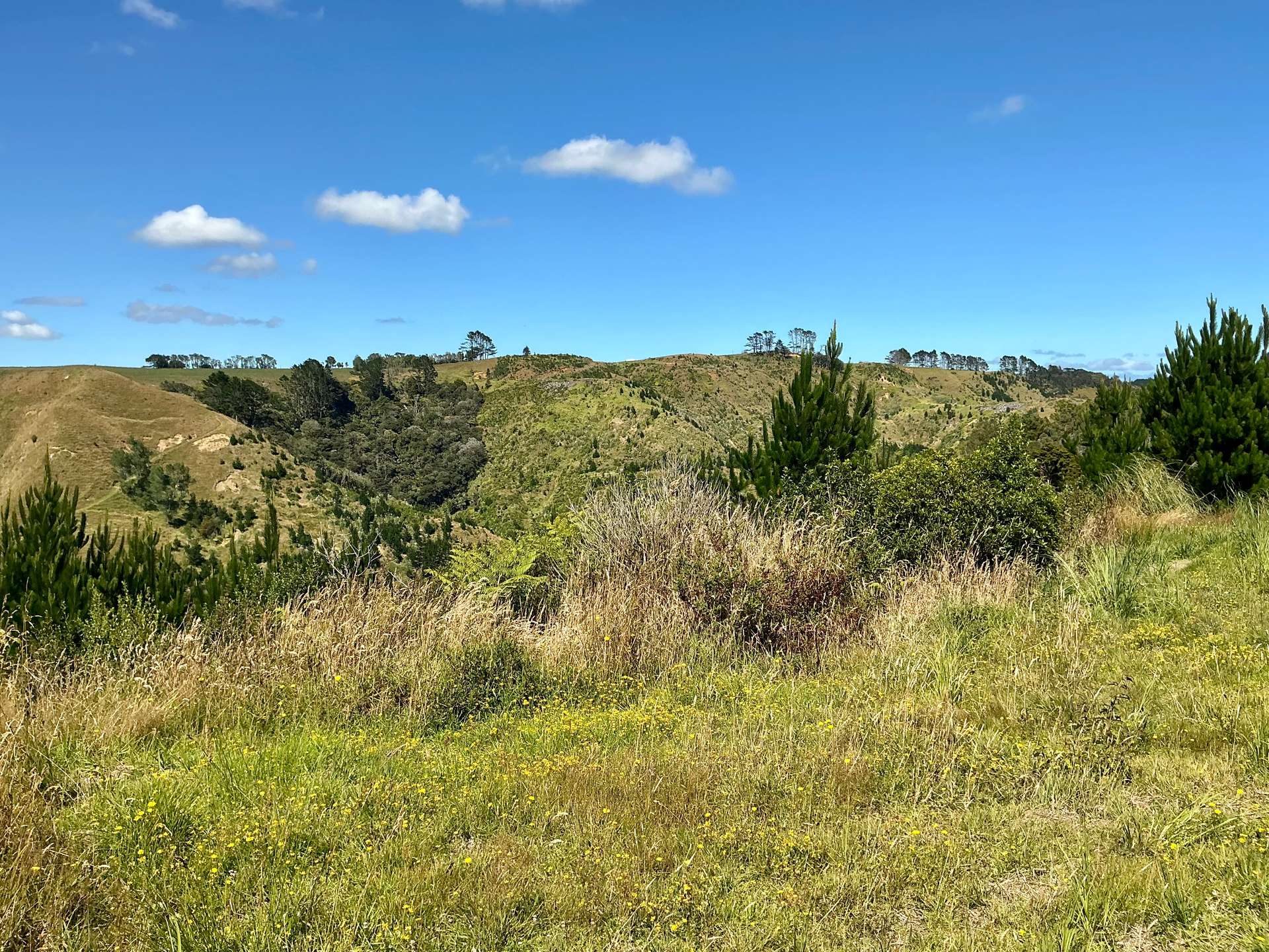 1391 Kaipara Hills Road photo 7