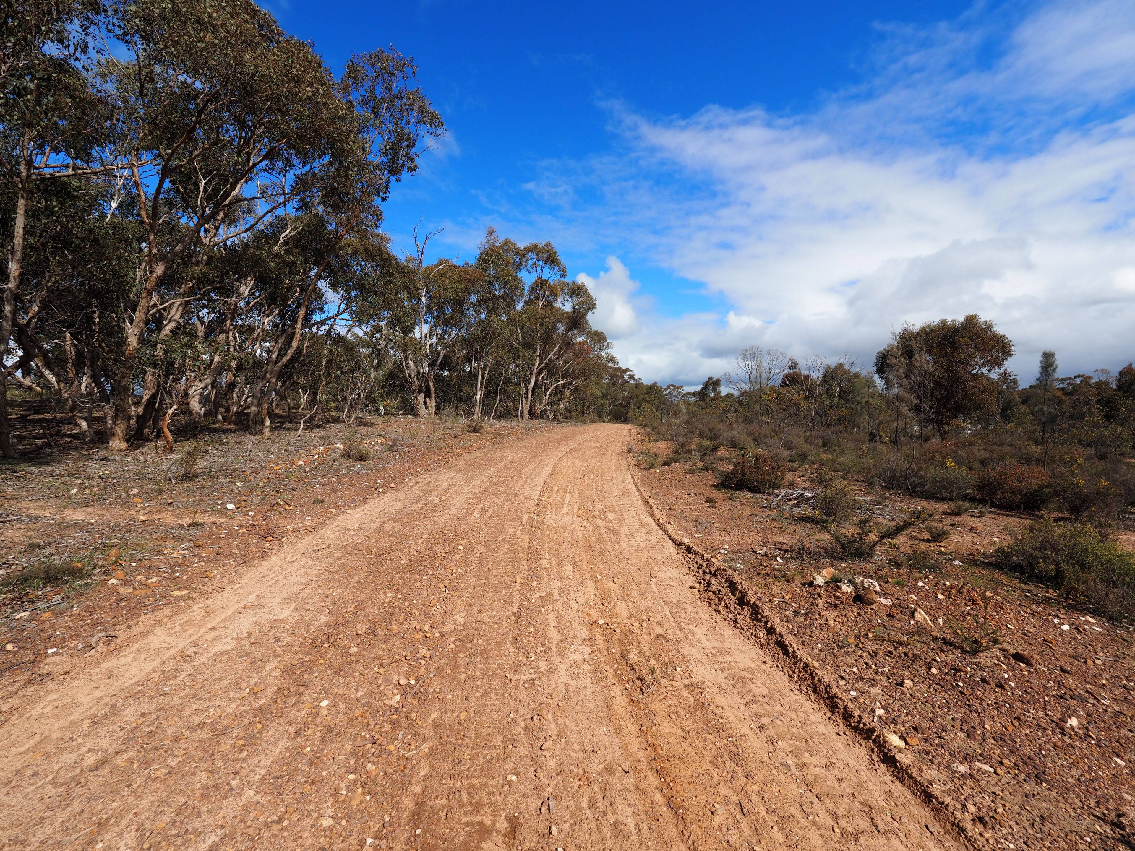 99 Smiths Road, Bealiba VIC 3475