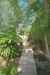 15 Geraldine Place photo 15