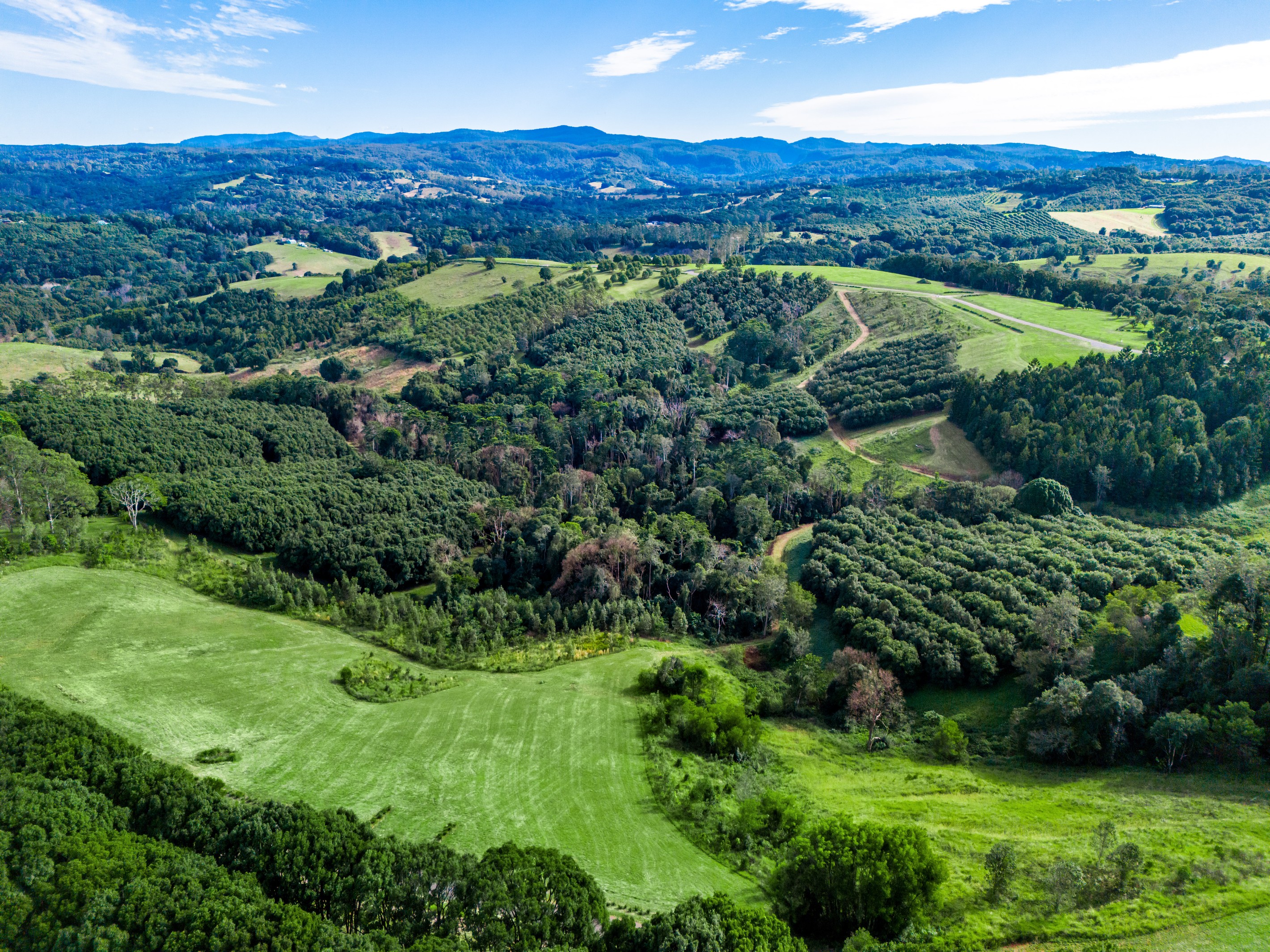 Lot 15 149 Federal Drive, Eureka, NSW 2480