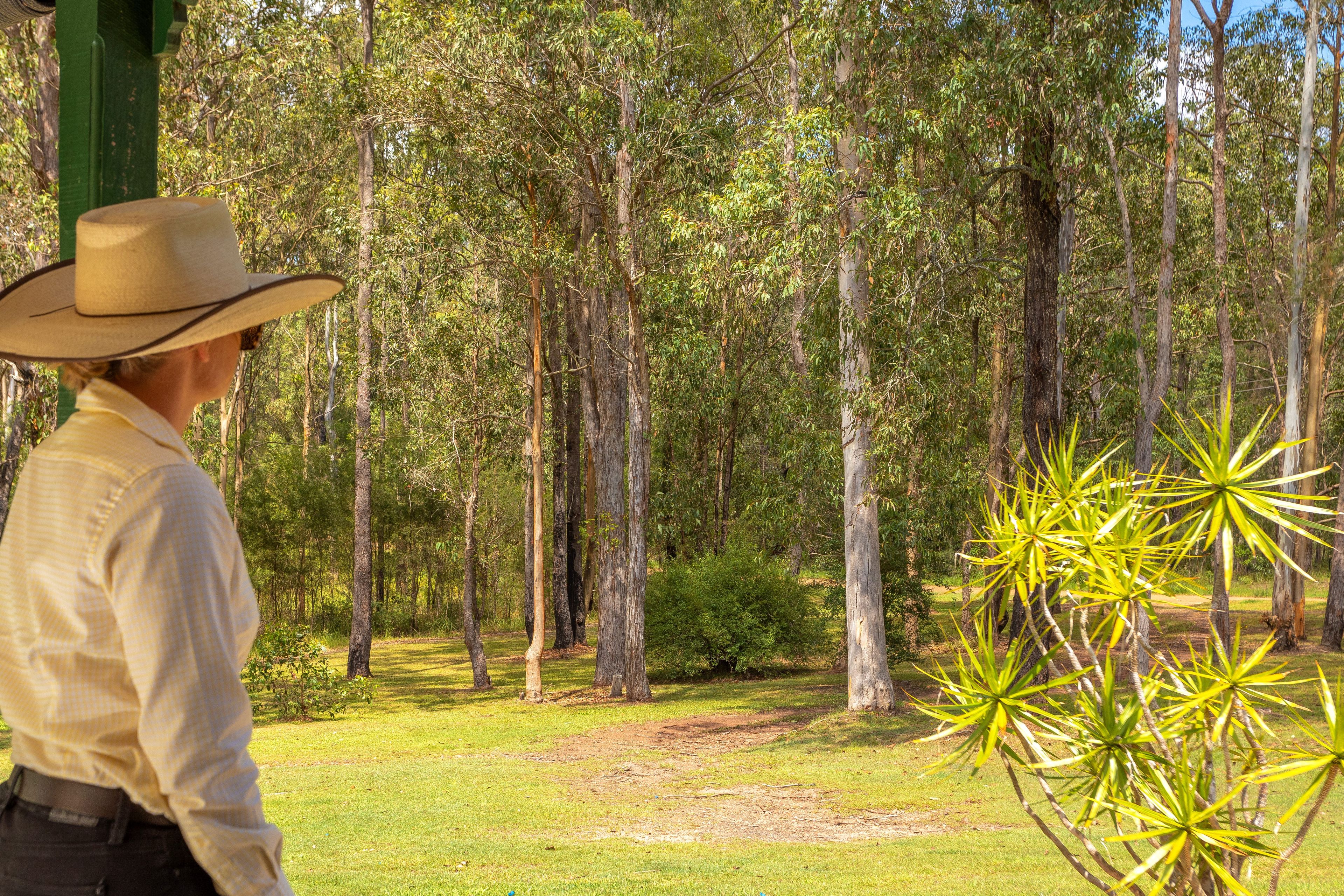 75 Gun Gully Road, Upper Lansdowne, NSW 2430 Sold Acreage/SemiRural