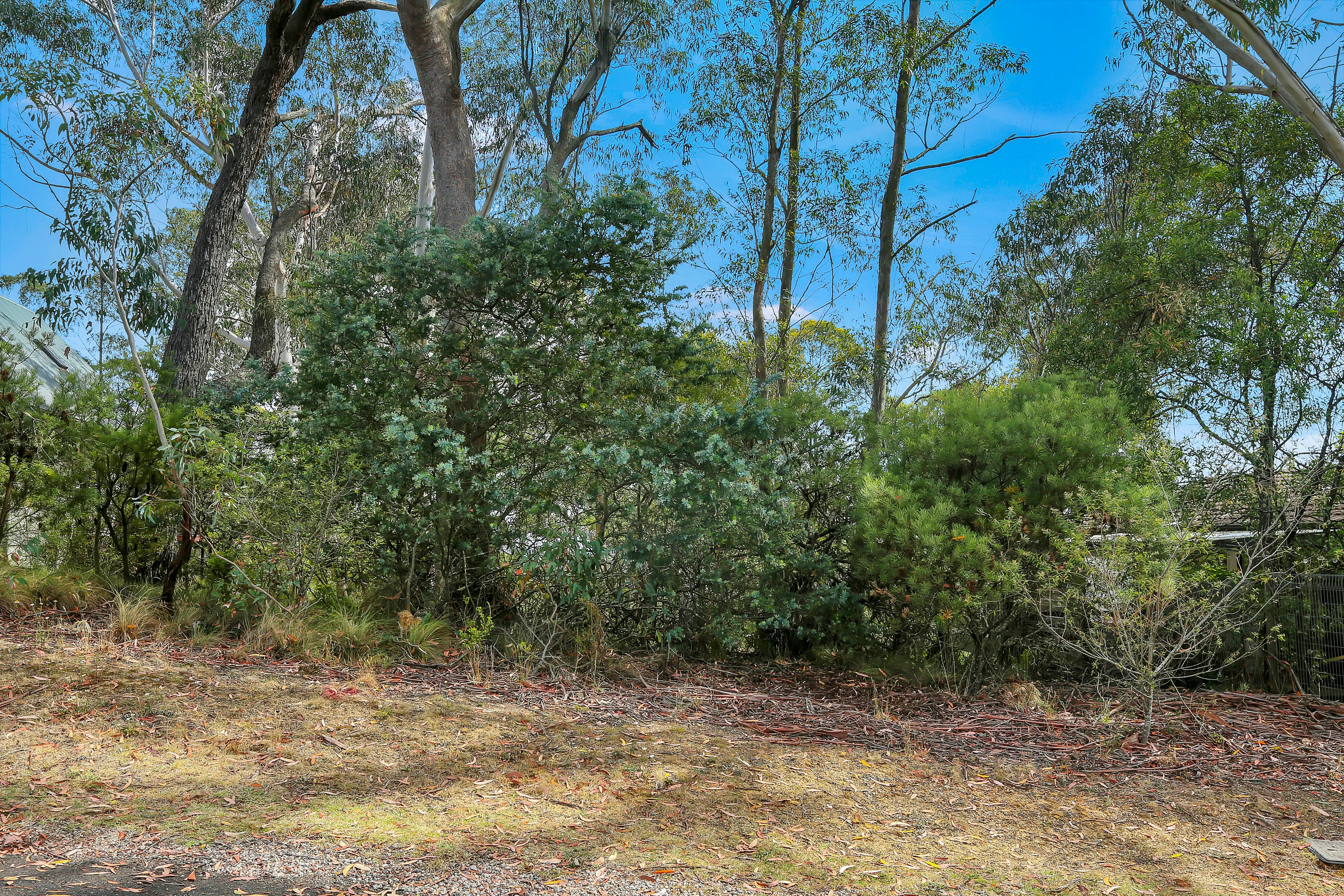 42 Sylvania Street, Mount Victoria NSW 2786