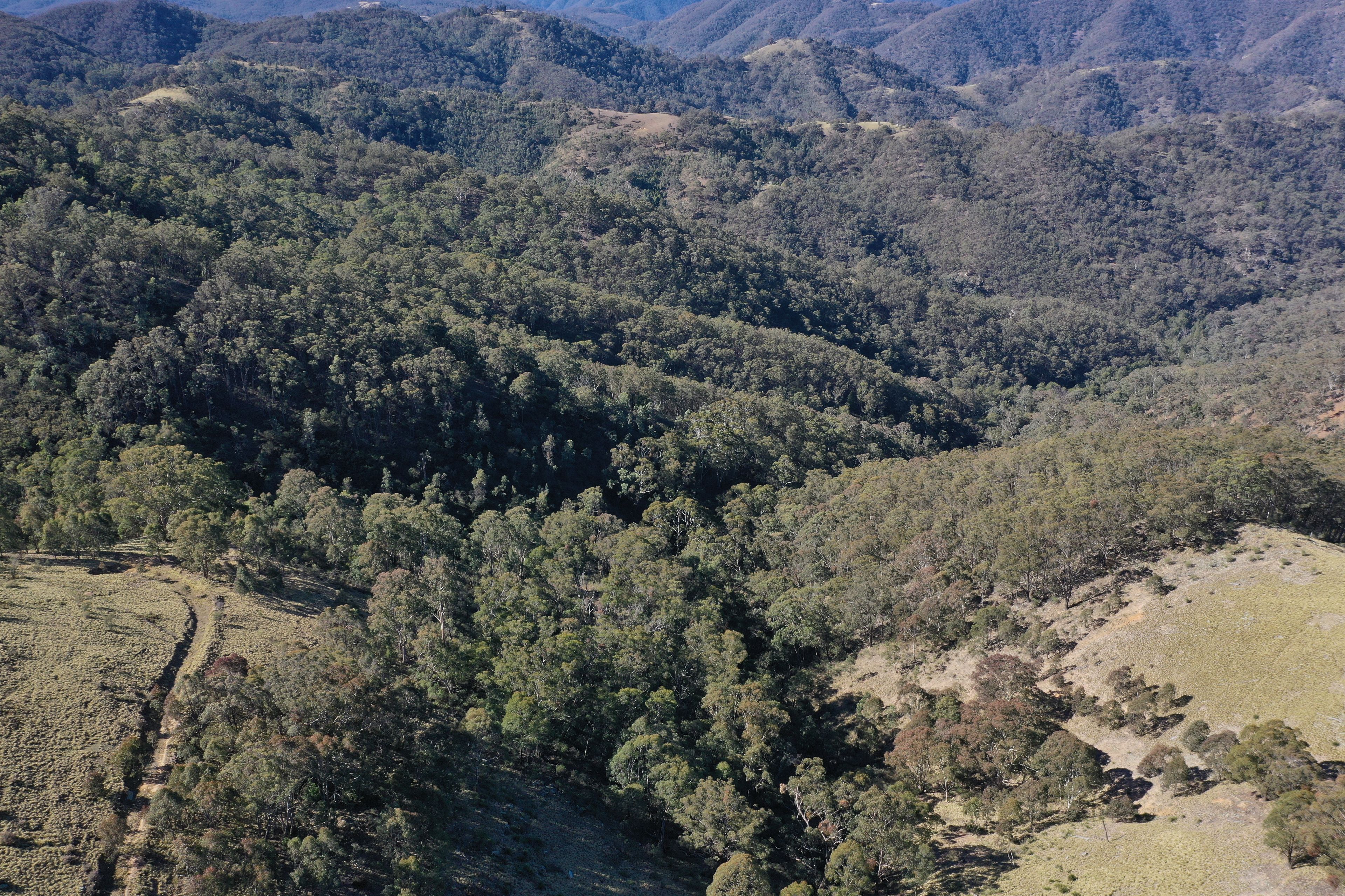 901 Langs Road, Taralga, NSW 2580