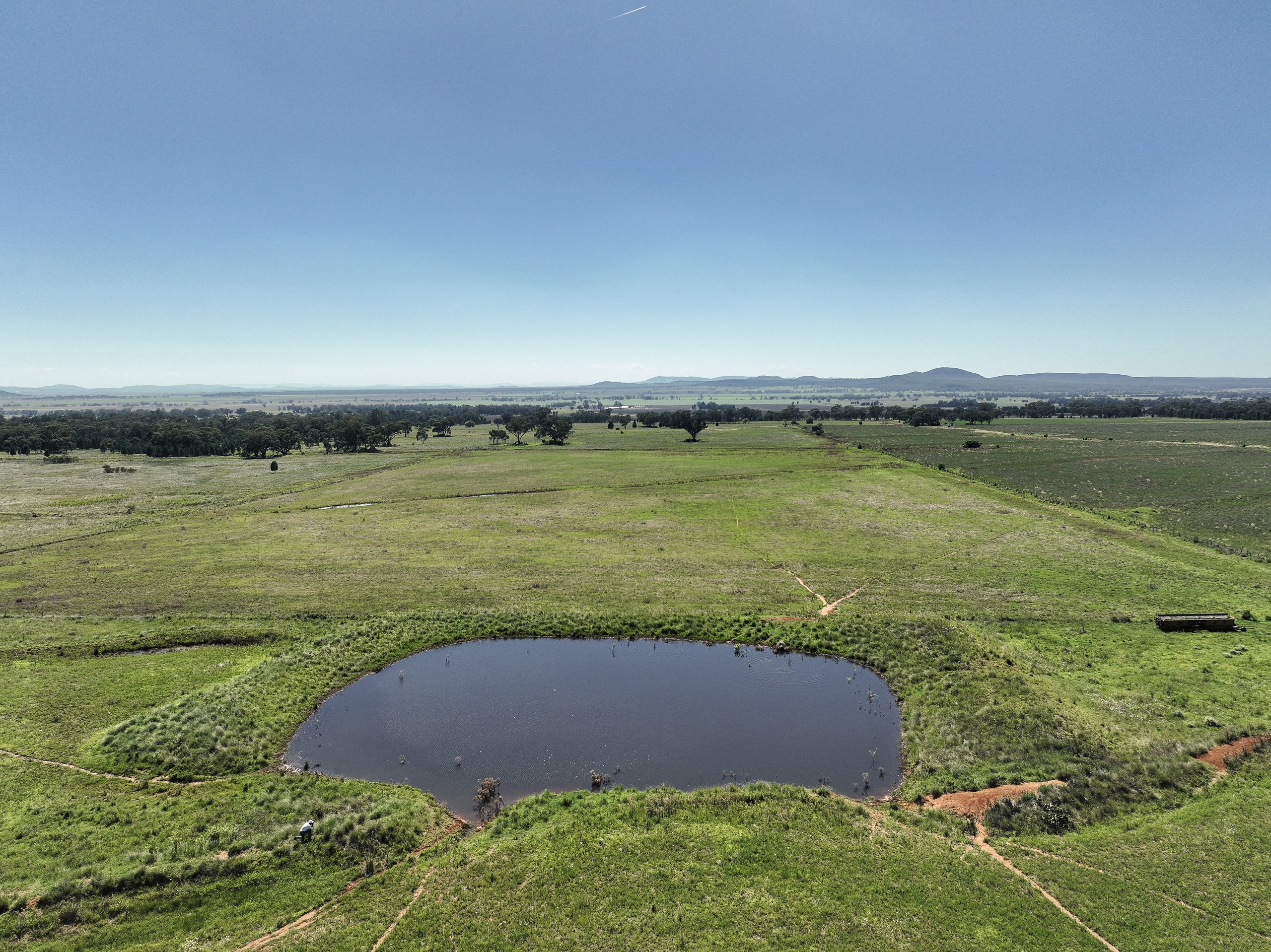 8722 Black Stump Way, Tambar Springs, NSW 2381