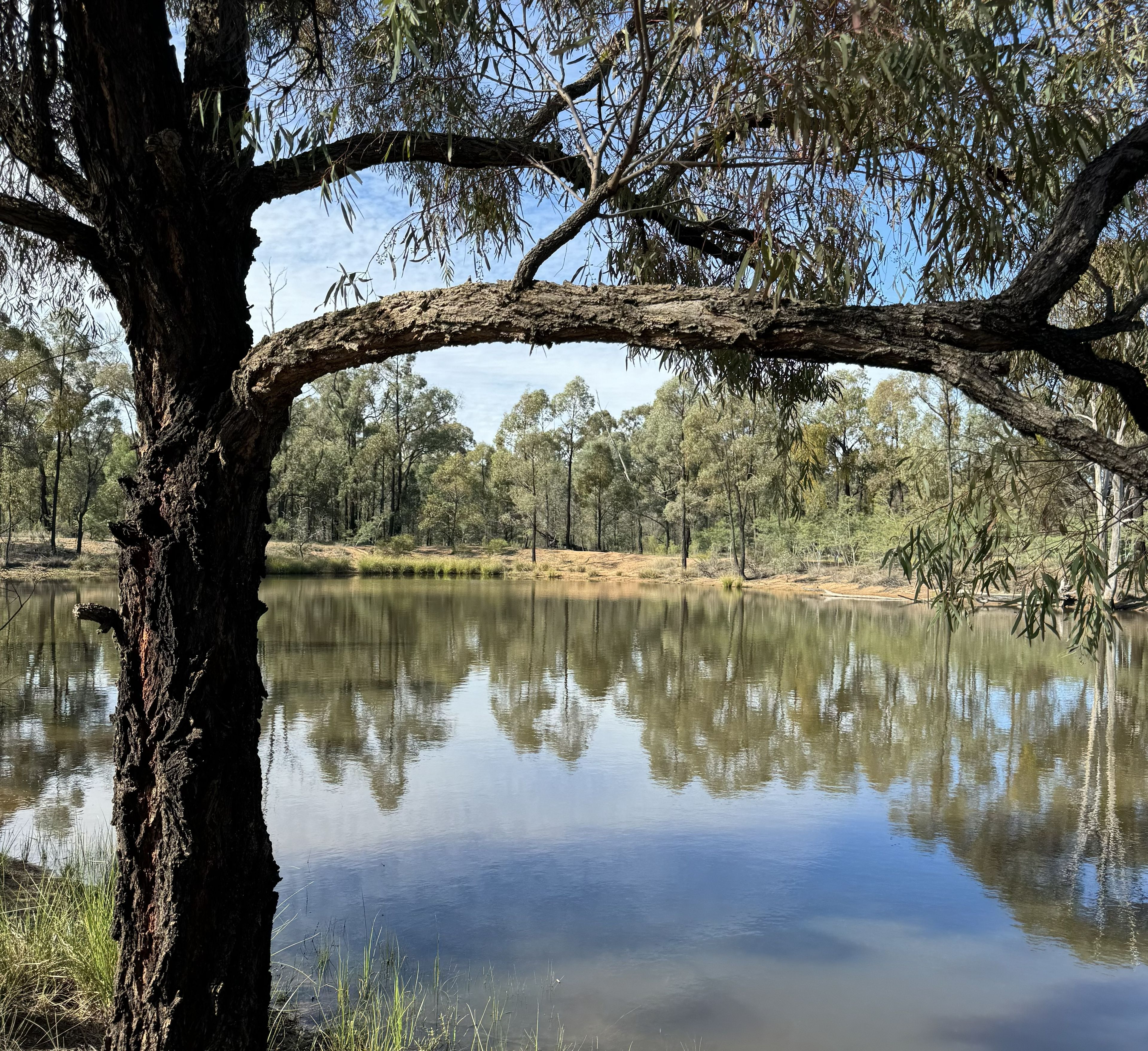 3L Wandarra Road, Brocklehurst, NSW 2830